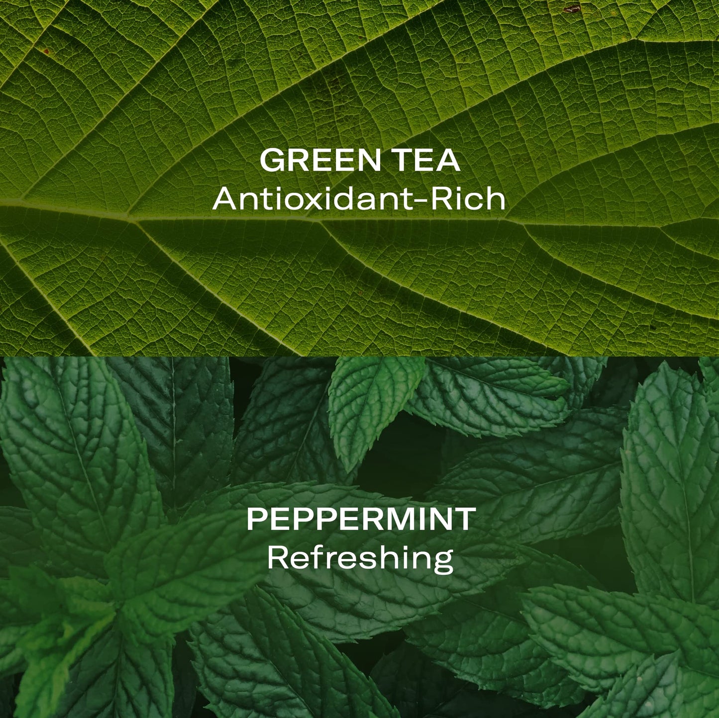 Odacité Anti Aging Face Serum - Mint & Green Tea Hydra-Purifying Mist Glow Recipe, Acne & Pimple Prone Skin, Clearing Face Mist for Hydration