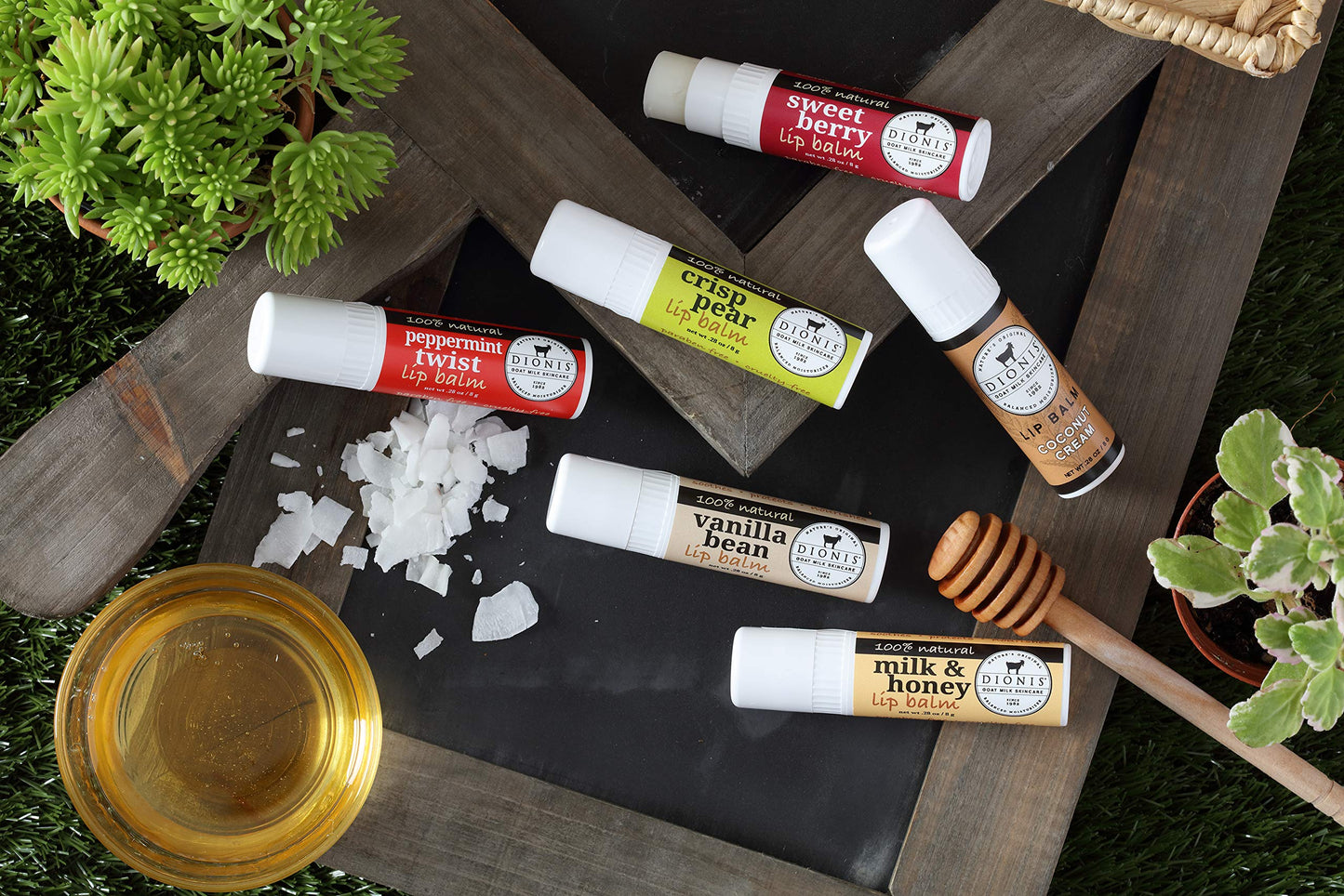 Creative Consumer Products Inc Dionis Goat Milk Milk and Honey Scent Lip Balm 0.28 oz. 1 pk - Case of: 6; Each Pack Qty: 1