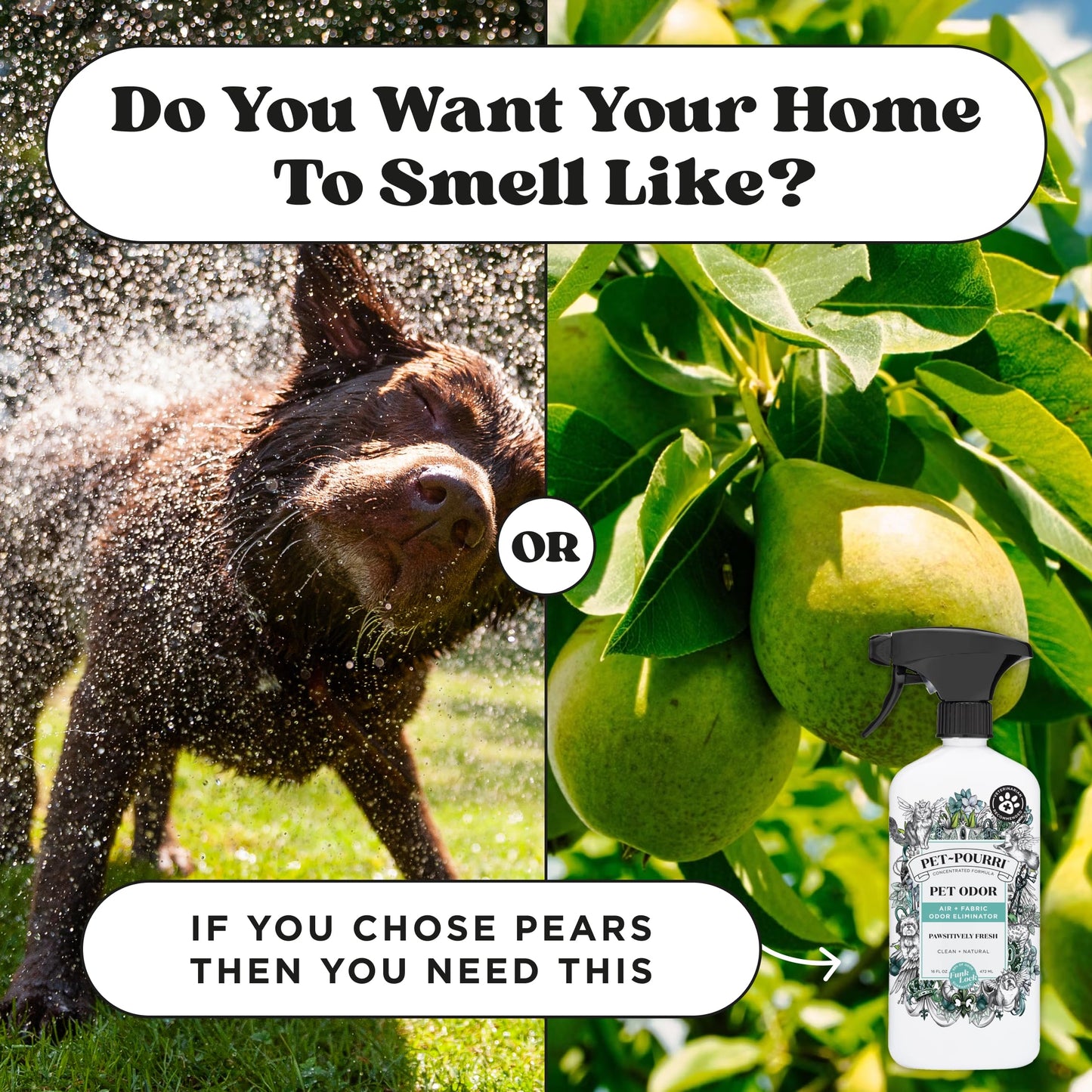 Poo-Pourri Pawsitively Fresh Pet & Home Deodorizer Spray, 16oz – Plant-Based Dog & Cat Odor Remover for Air, Carpet, Fabric, Litter Box & Urine
