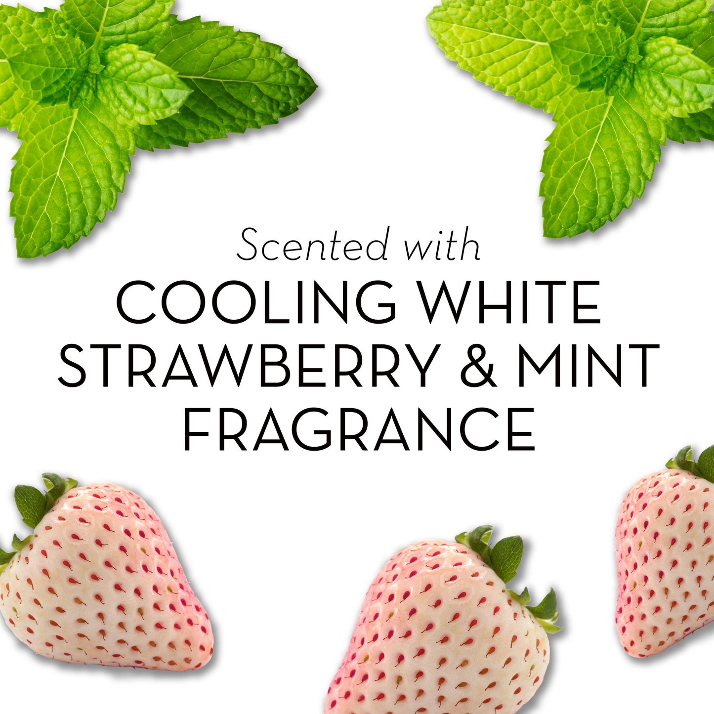 Olay Fresh Mint, 24 oz