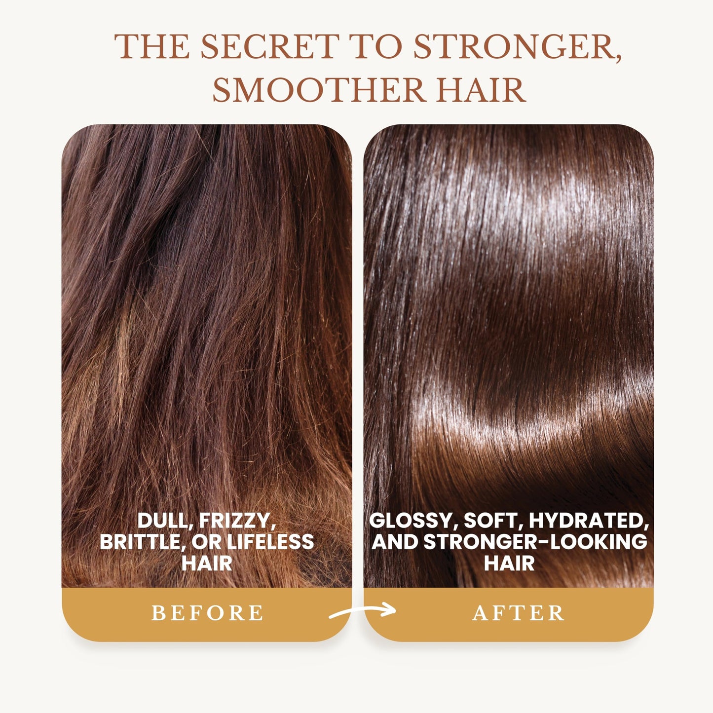 Edenika Botanicals Ginger Shampoo and Conditioner Set, Fortifying Formula with Certified and Organic Ingredients Naturally Nourish, Smooth