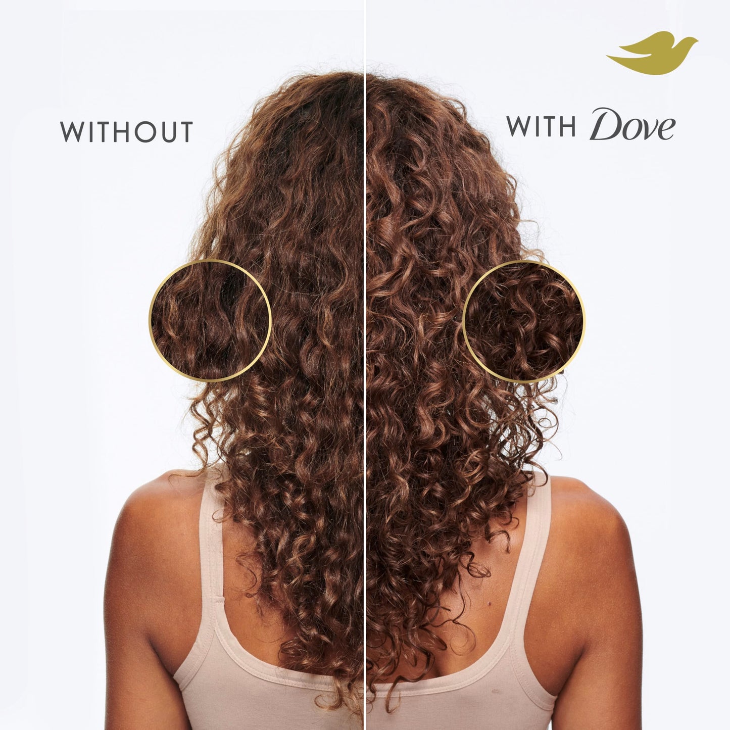 Dove Shampoo Coconut & Hydration for Dry Hair with Bio-Protein Care Technology and Coconut Oil 12 Fl Oz