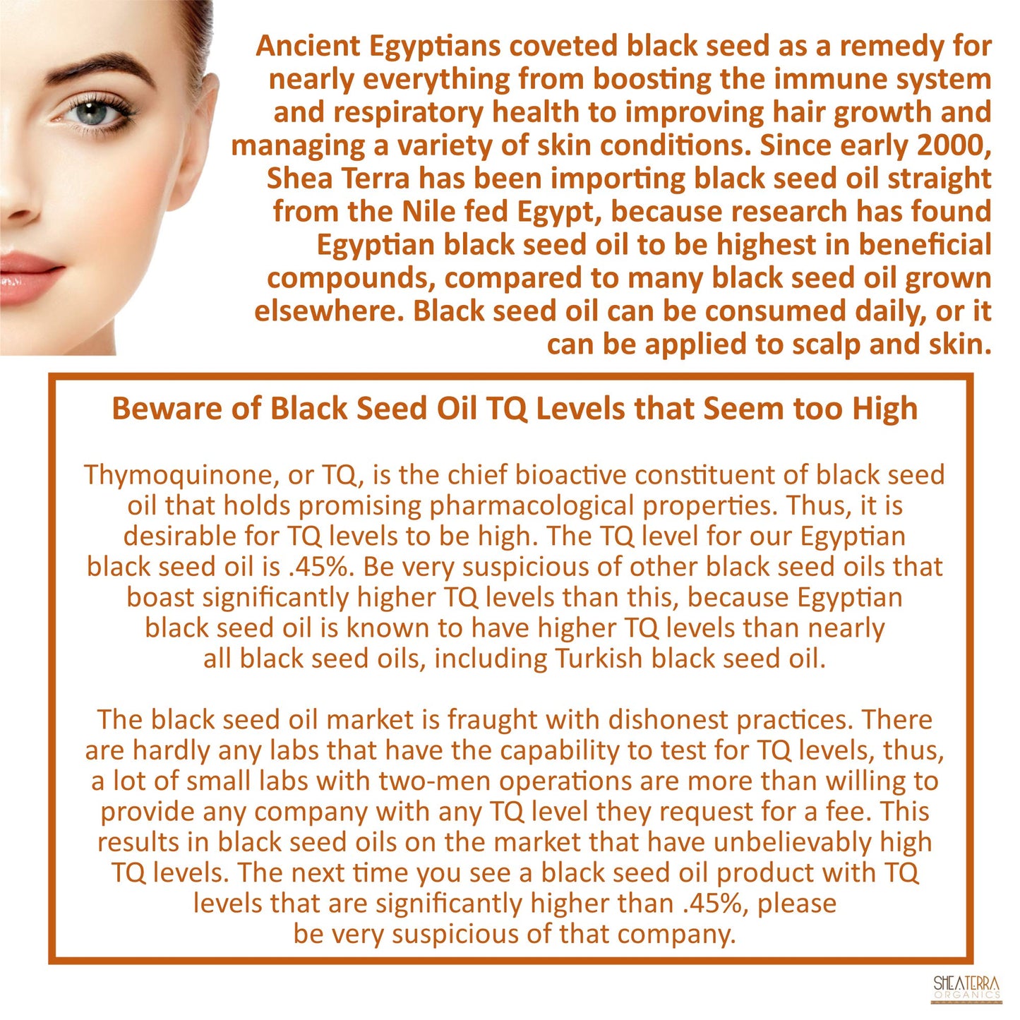 Shea Terra Egyptian Black Seed Cold Pressed Extra Virgin Oil, All Natural Oil to Support Immune System, Encourage Hair Growth & Skin Tone, Assist in