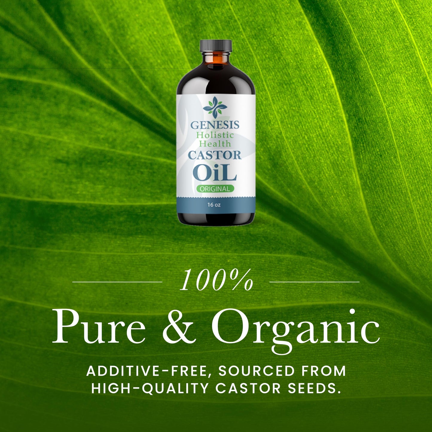 Genesis Holistic Health Organic Castor Oil - 100% Pure, Cold Pressed, Hexane Free - Nourishing Hair & Skin Oil - Eyelash & Eyebrow Growth, Deep