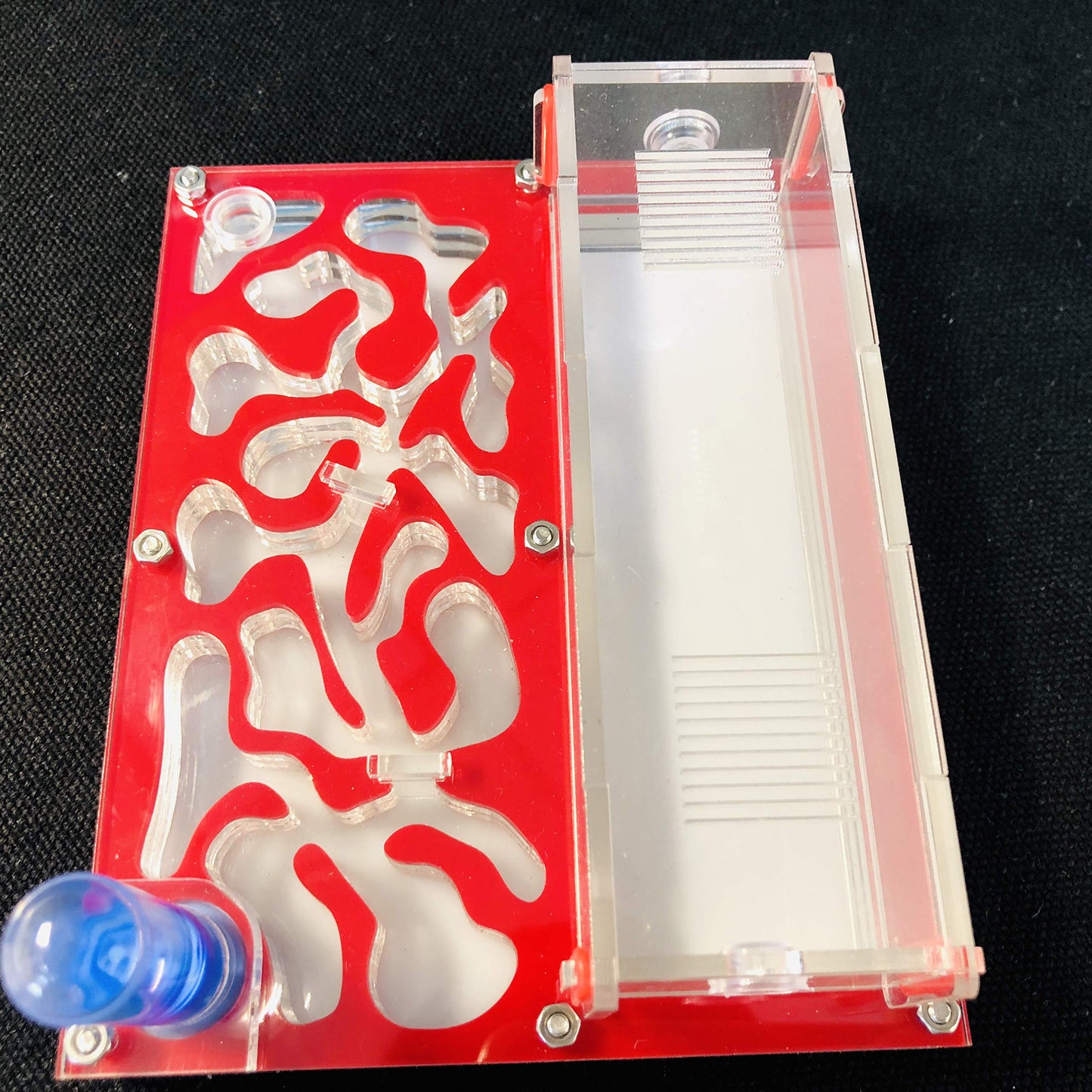 ANT 150mmx110mm Test Tube Moisture Big Space Nest Farm Acrylic, Insect Villa House Ecological Workshop (red)