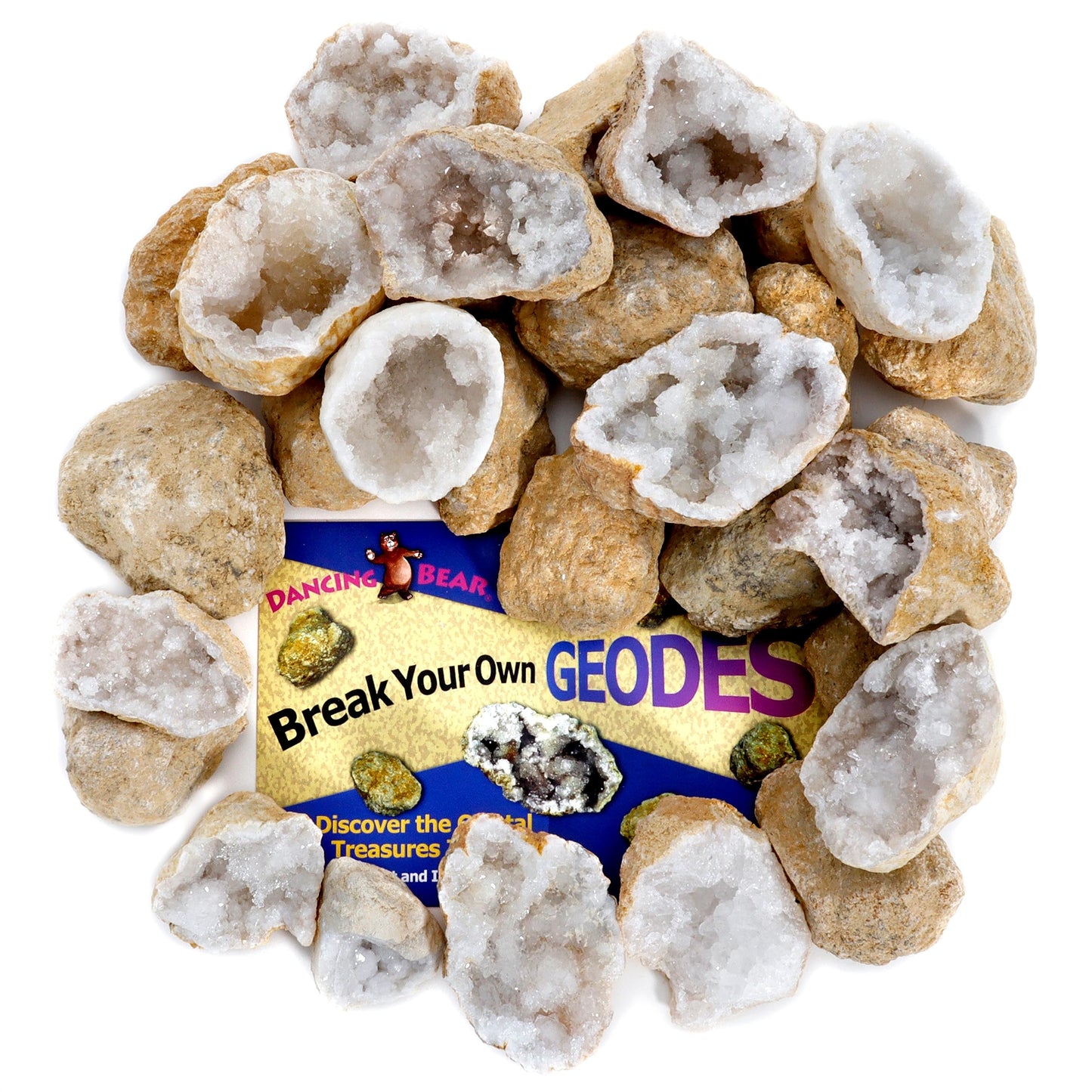 DANCING BEAR 25 Break Your Own Geodes – Medium 1–1.5" Hollow Crystals, Fun Educational Surprise Kit with Instructions, Party Favors & Prizes