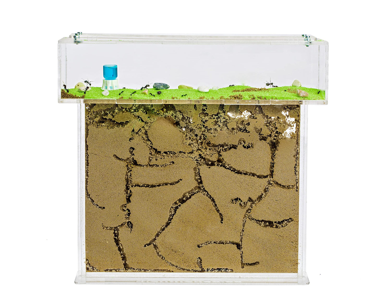 AntHouse - Natural Sand Ant Farm | Acrylic T BIG Kit 9.84x7.87x0.59 in