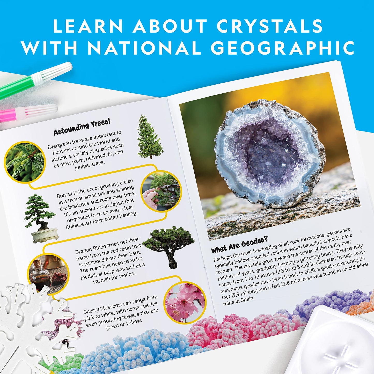 National Geographic Crystal Growing Craft Kit – Grow 6 Crystal Trees in 6 Hours, Educational STEM Arts & Crafts Kit with Geode & Art Supplies for Kids