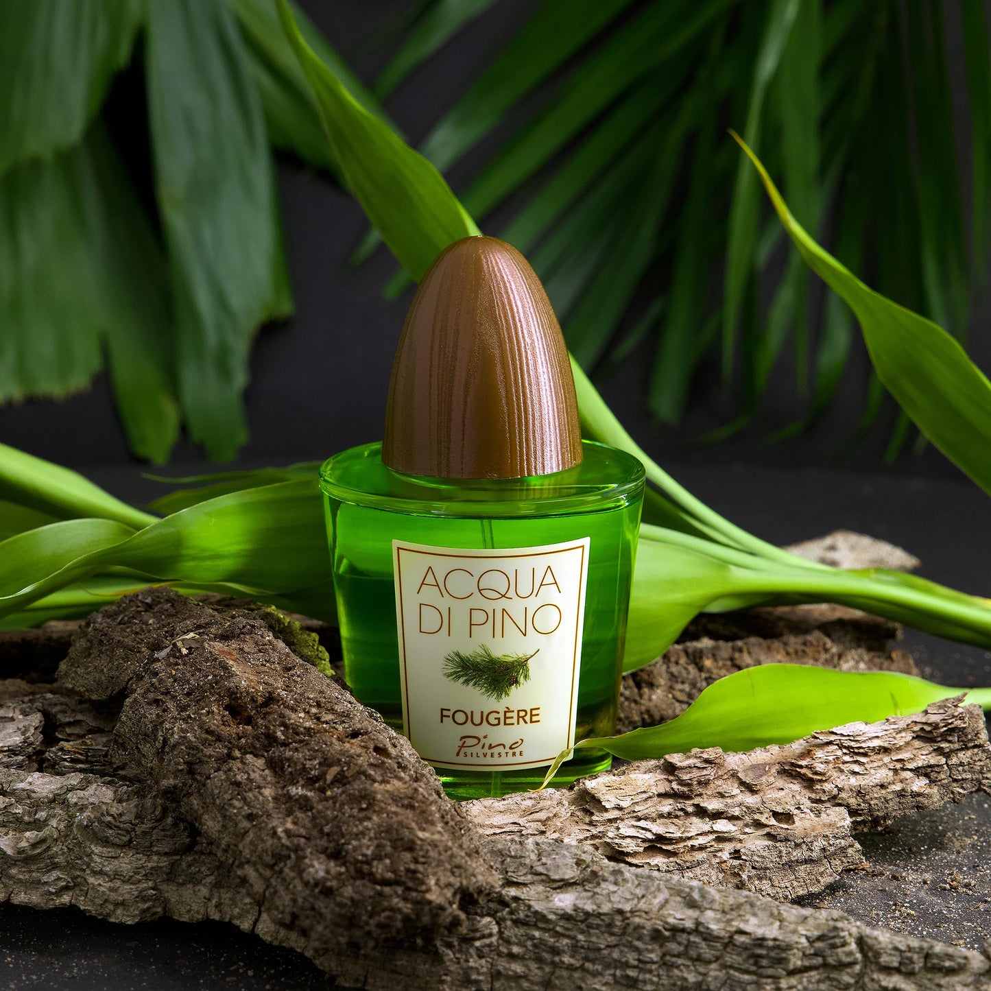 Acqua Di Pino Fougere By Pino Silvestre For Men - A Men's Eau De Toilette Cologne Perfume Spray With An Intense Fragrance For Every Guy - A Truly Male