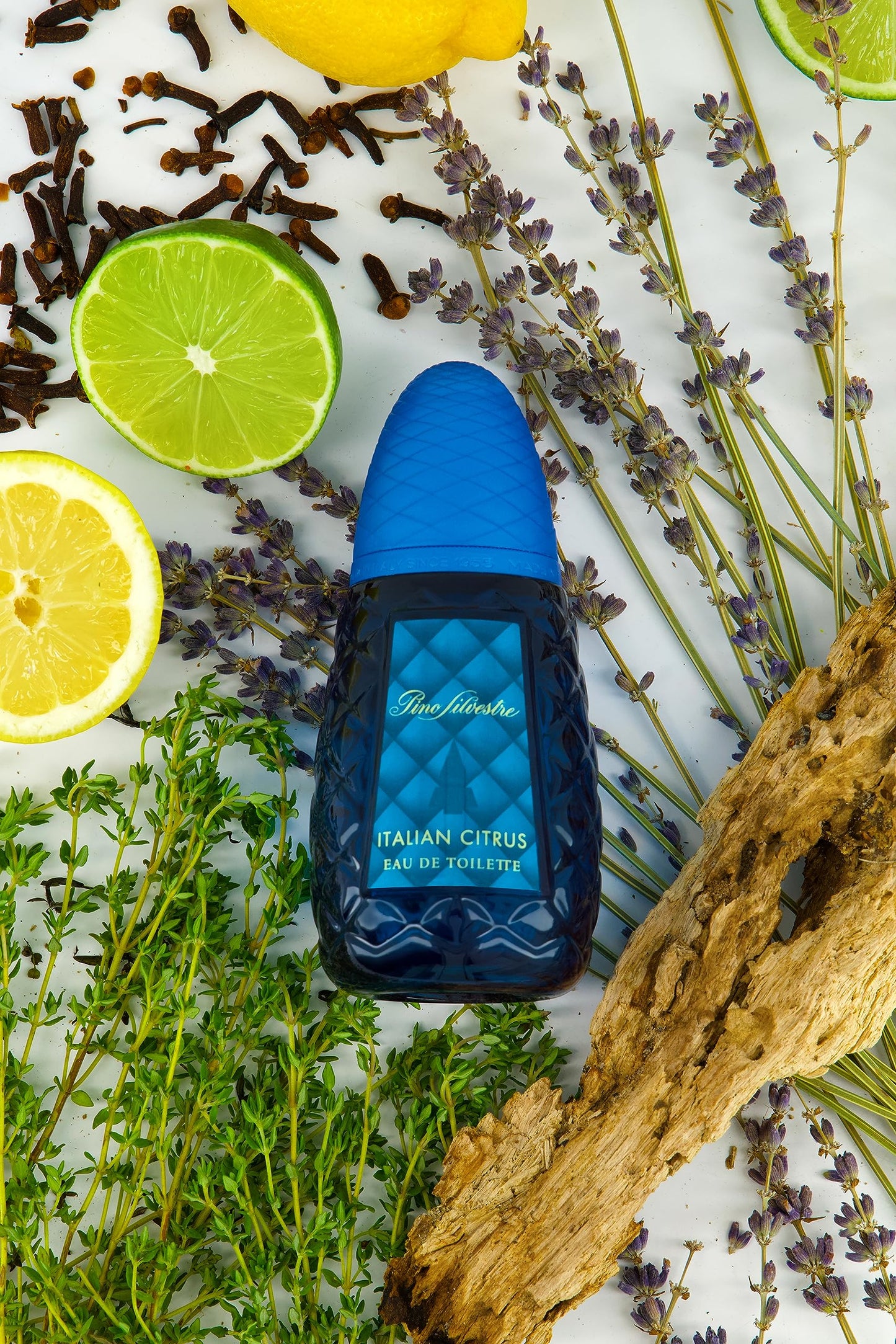 Italian Citrus by Pino Silvestre - Perfume for Men - Woody, Aromatic Scent - Blended with Lemon, Pine, Apple, Patchouli, and Musk - for Calm