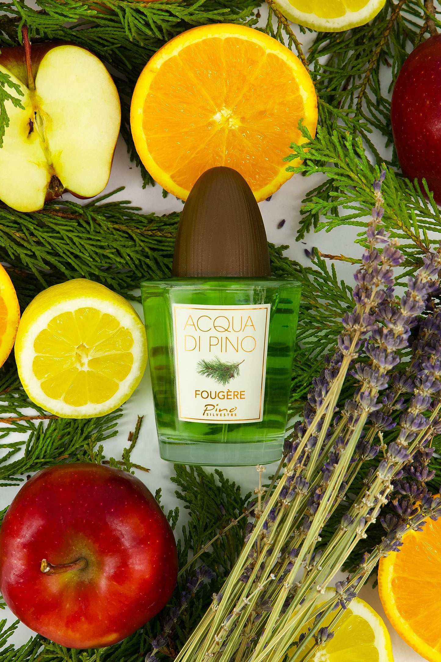Acqua Di Pino Fougere By Pino Silvestre For Men - A Men's Eau De Toilette Cologne Perfume Spray With An Intense Fragrance For Every Guy - A Truly Male