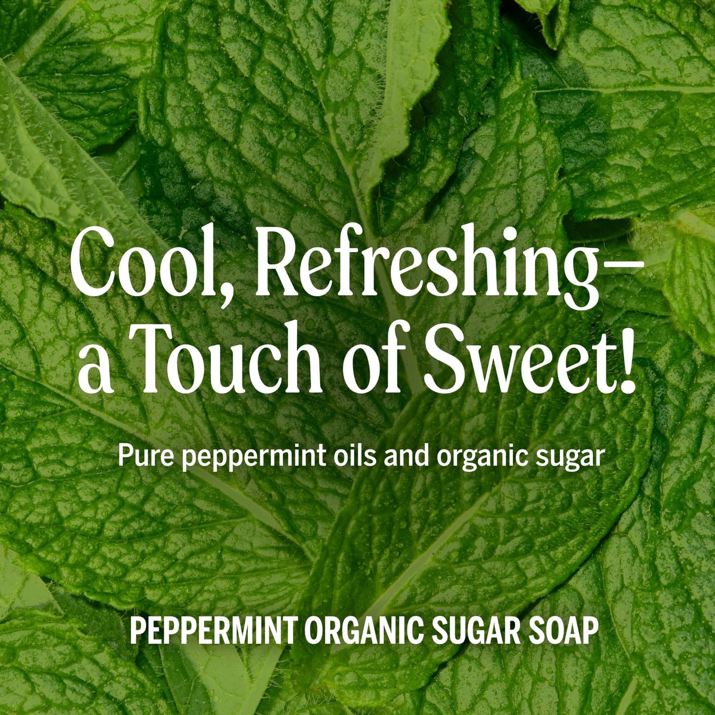 Dr. Bronner's - Organic Sugar Soap (Peppermint, 12 oz) - Made with Organic Oils, Sugar & Shikakai Powder, 4-in-1 Uses: Hands, Body, Face & Hair