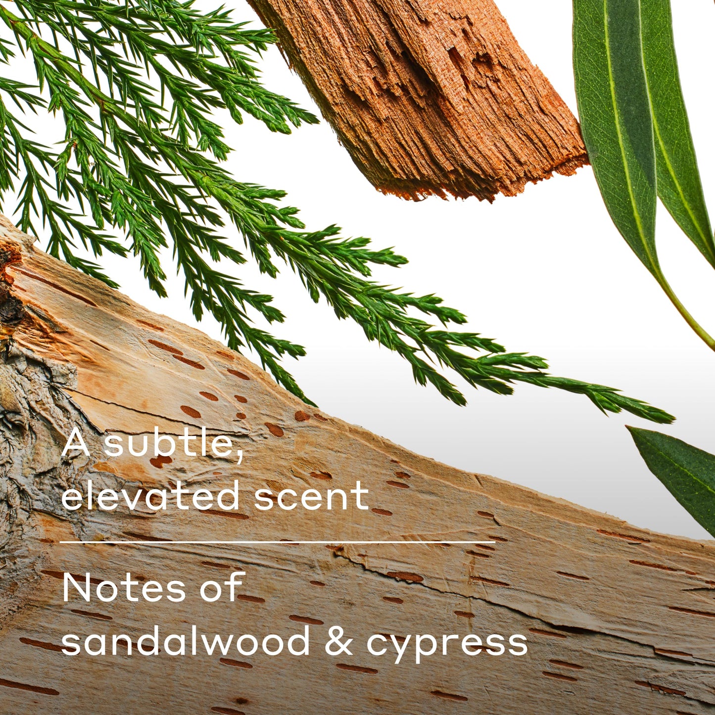 Harry's Extra-Strength Antiperspirant Deodorant, Sweat & Odor Control Antiperspirant for Men, Variety Pack - Stone, Redwood, Wildlands