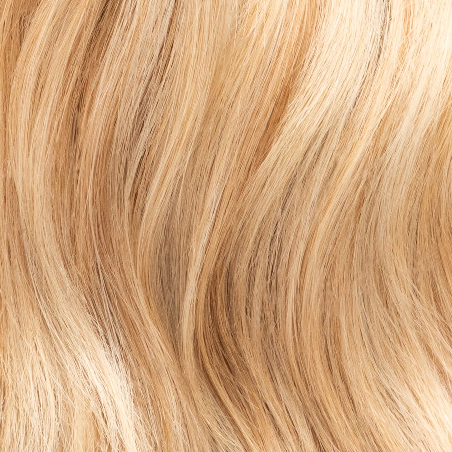 Eva NYC Mane Magic 10-in-1 Primer – Heat Protectant Spray with Argan & Sunflower Oil, Sulfate/Paraben Free Hair Care, 5.4 fl oz