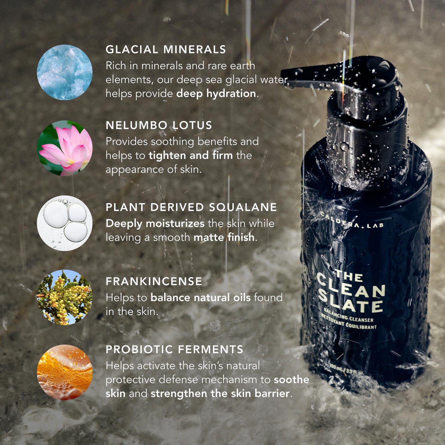 Caldera + Lab The Clean Slate | Men's Organic Foaming Facial Cleanser for Dry, Sensitive, & Normal Skin - Vegan, Natural & Antioxidant Packed