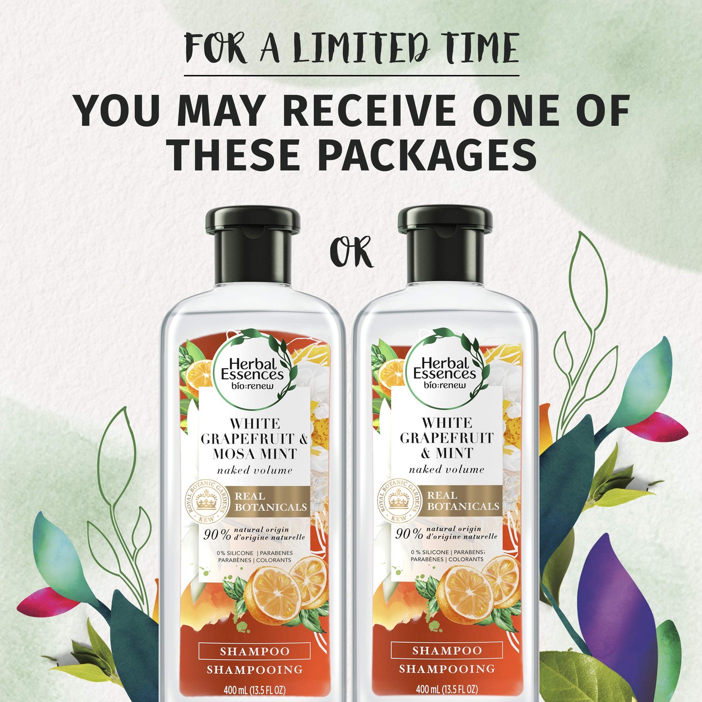 Herbal Essences bio:renew White Grapefruit & Mosa Mint Naked Volume Shampoo, 13.5 fl oz