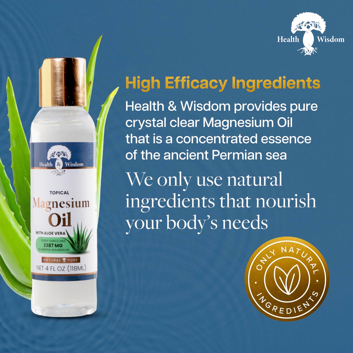 Health & Wisdom Pure Magnesium Oil with Aloe Vera - Topical Muscle & Joint Relief- Natural and Pure USP Grade Extra Strength Magnesium - Enhanced