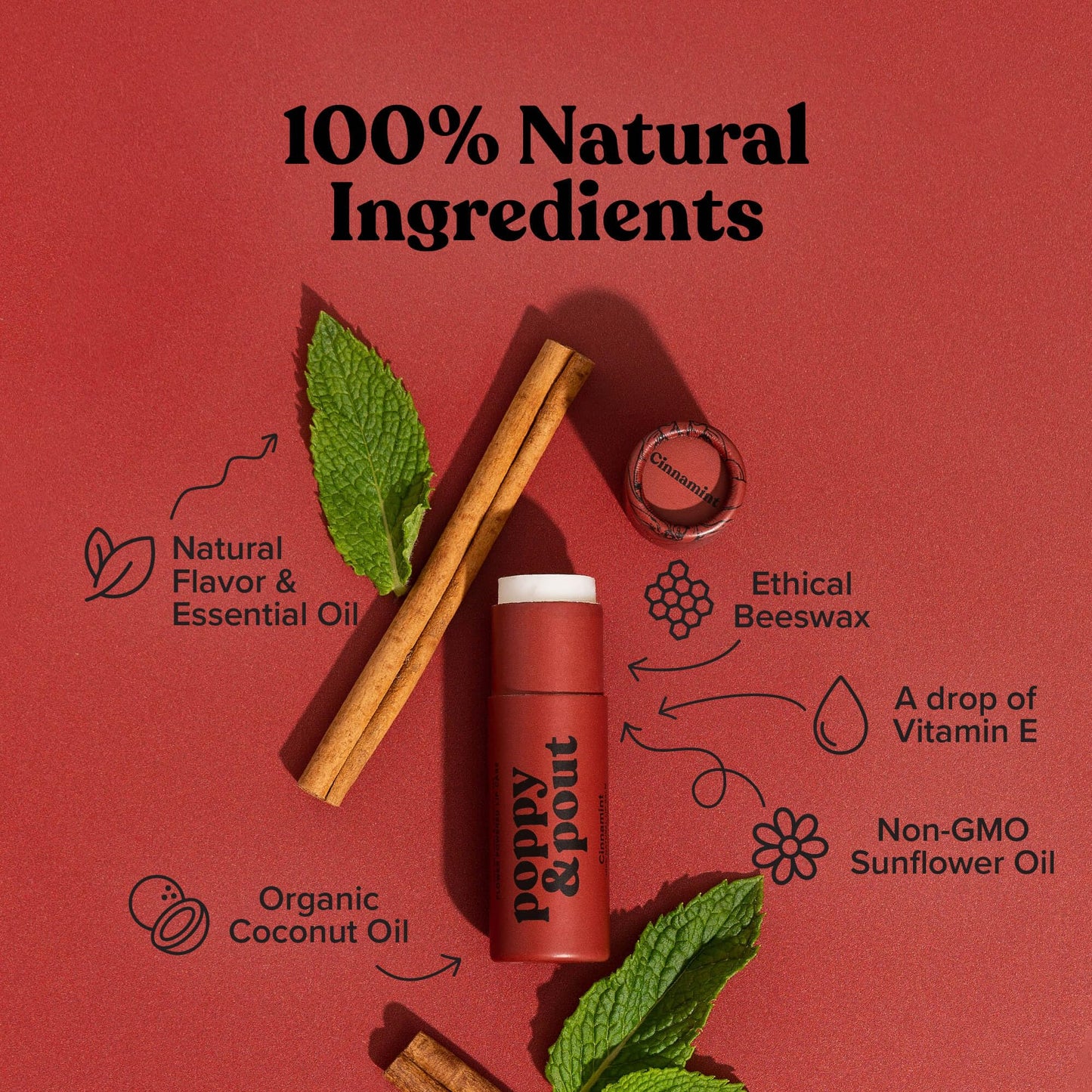 Poppy & Pout Cinnamint Jumbo Lip Balm | All Natural Lip Balms & Moisturizers | Hydrates with Beeswax, Vitamin E, Organic Coconut Oil | Cruelty-Free |