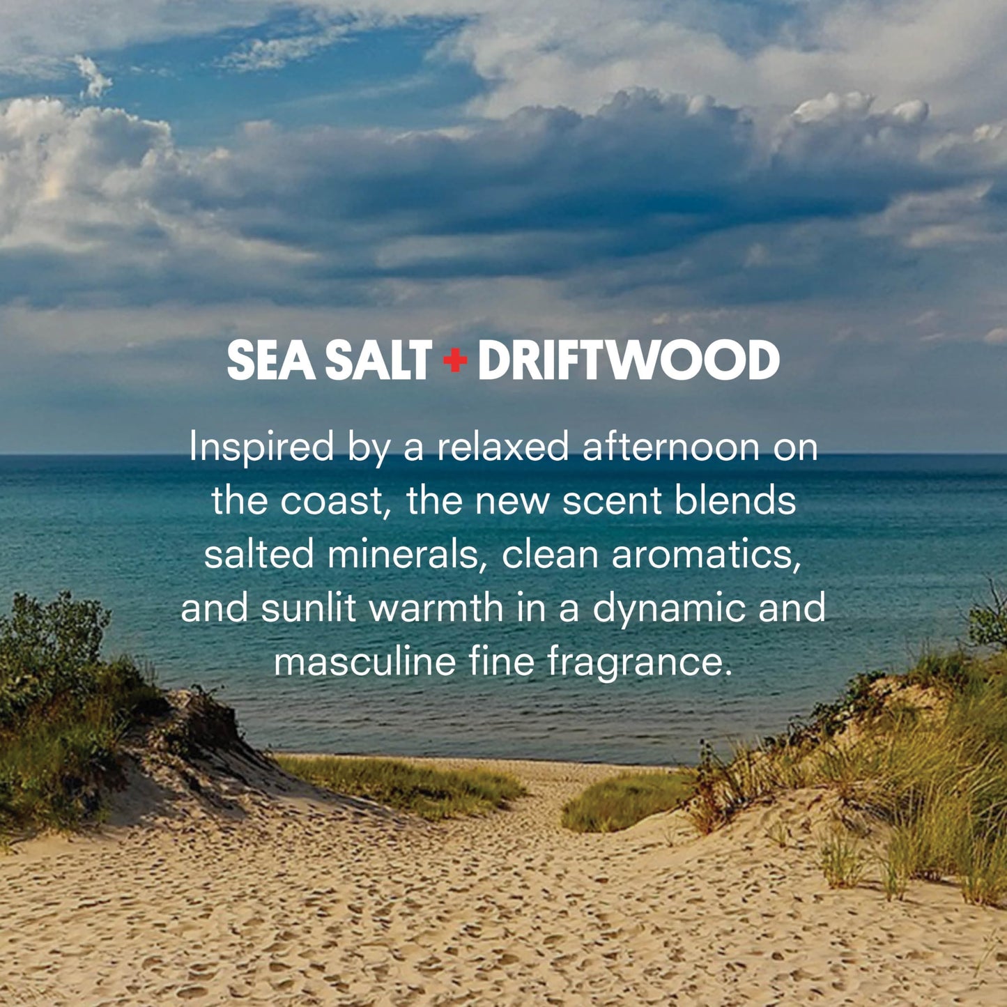 Huron Men’s Cologne - Eau de Parfum for Everyday Wear - Clean, Aromatic Notes of Mandarin, Cardamom, Blue Sage, Lavender & Ocean