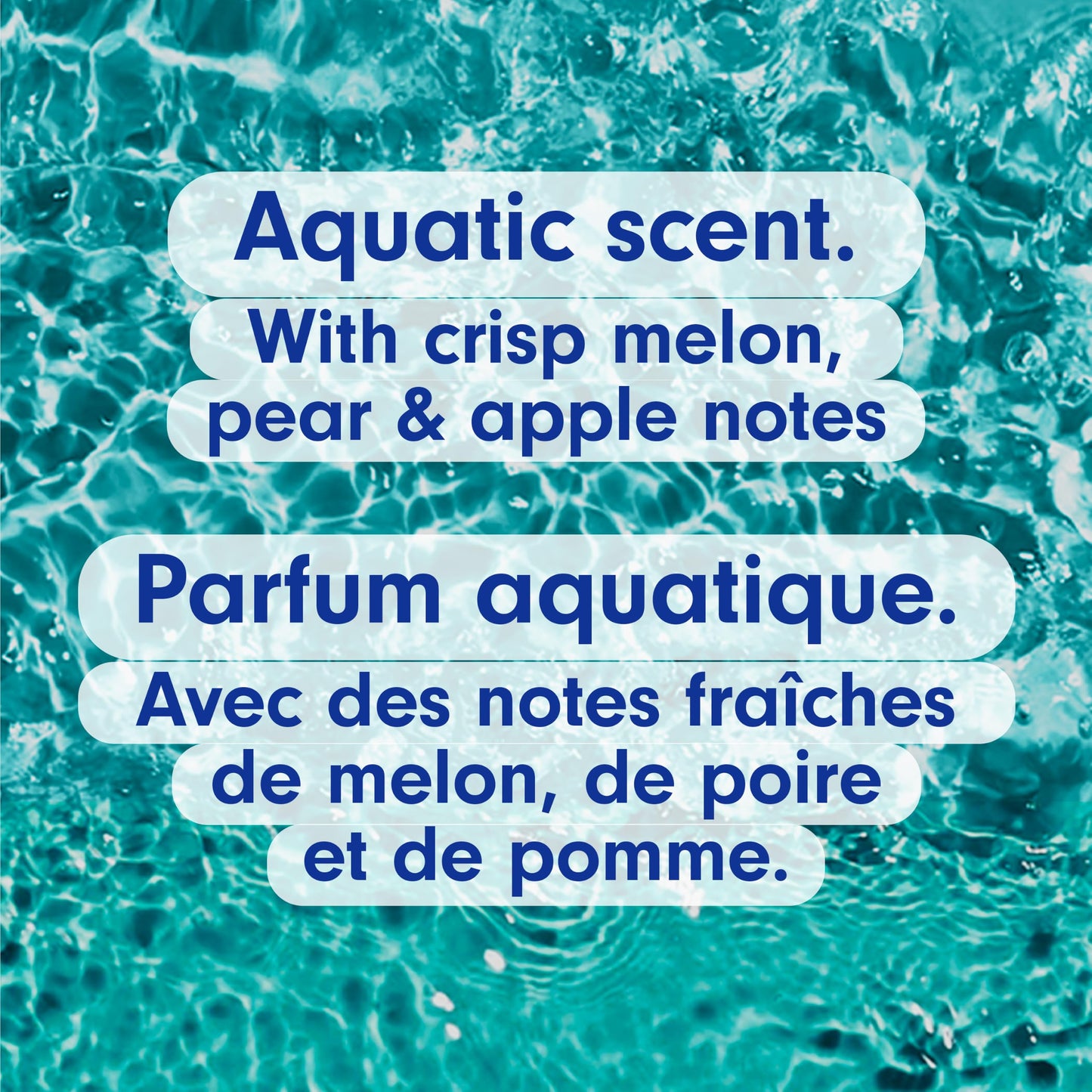 Softsoap Liquid Hand Soap, Aquarium Series - 7.5 Fl Oz (Pack of 6) Beauty and Personal Care Softsoap