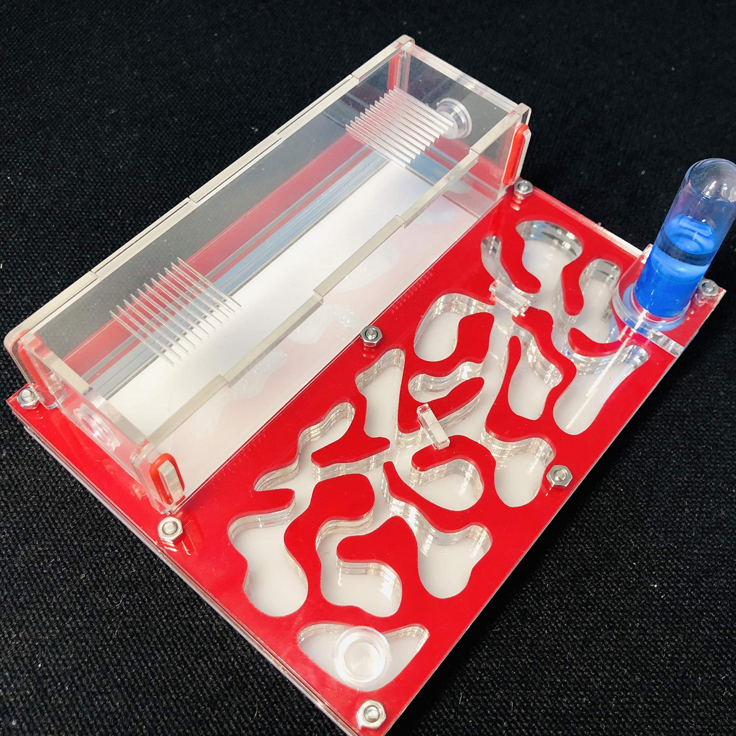 ANT 150mmx110mm Test Tube Moisture Big Space Nest Farm Acrylic, Insect Villa House Ecological Workshop (red)