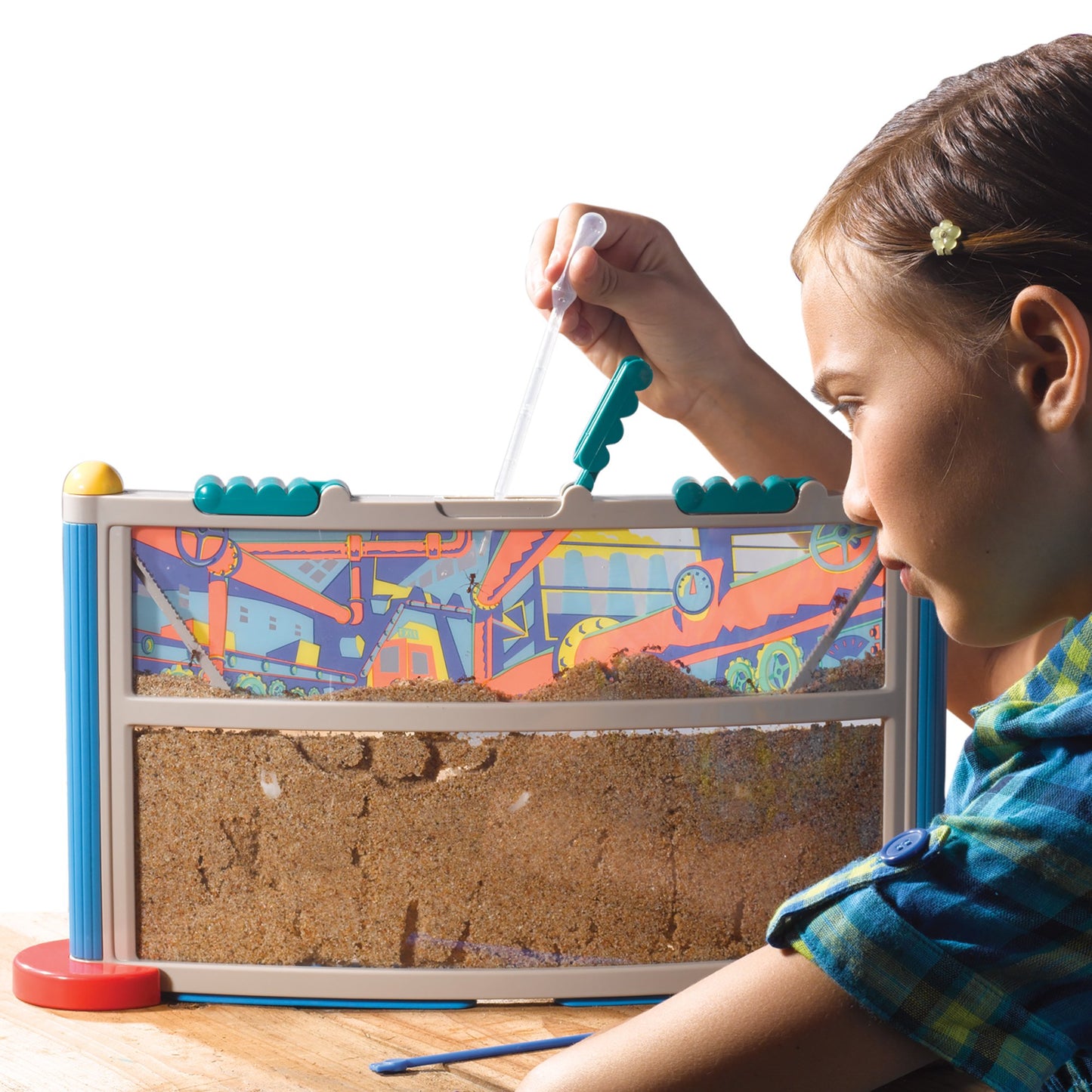 Educational Insights GeoSafari Ant Factory