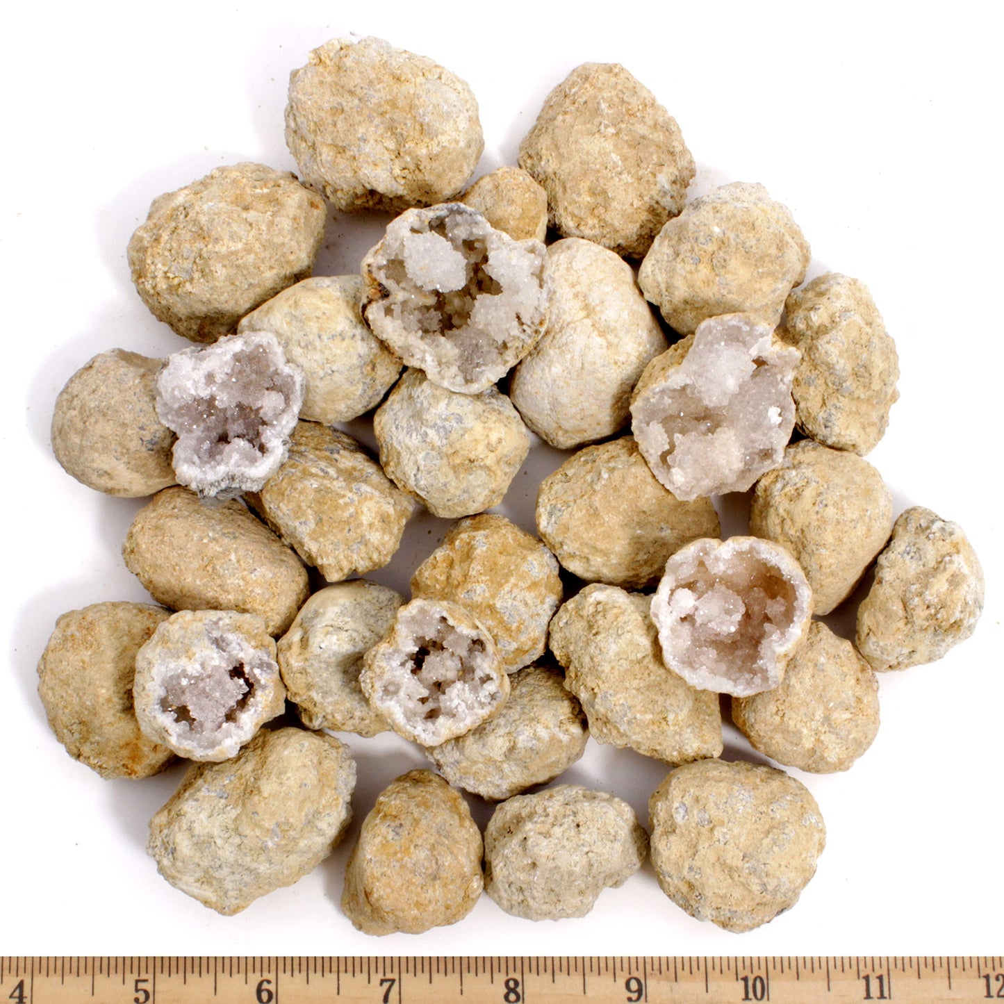 DANCING BEAR 25 Break Your Own Geodes – Medium 1–1.5" Hollow Crystals, Fun Educational Surprise Kit with Instructions, Party Favors & Prizes