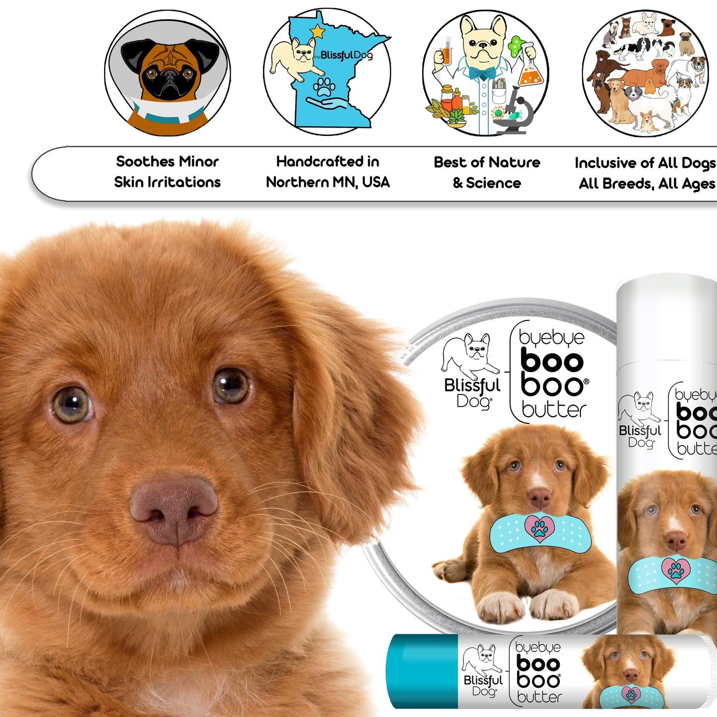 The Blissful Dog Nova Scotia Duck Tolling Retriever Boo Boo Butter, 0.50-Ounce Beauty and Personal Care The Blissful Dog