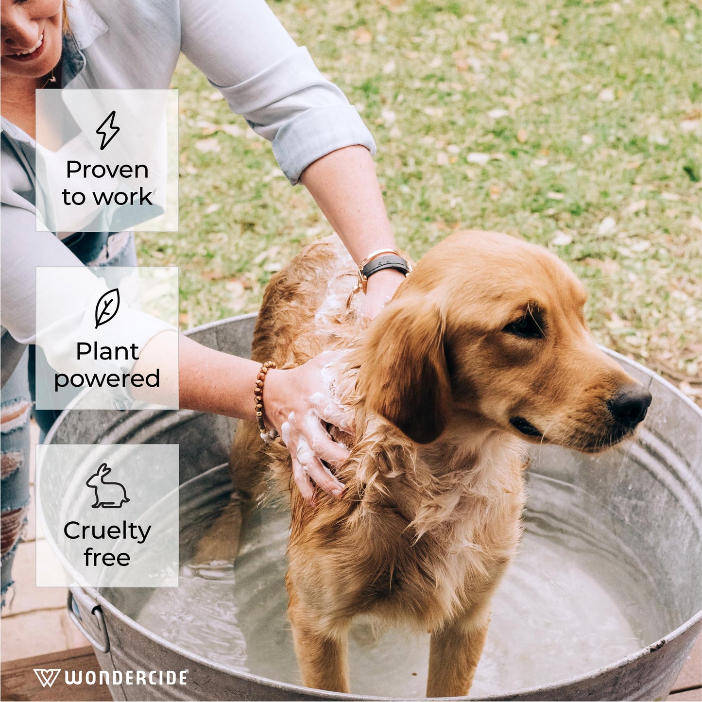 Wondercide Flea & Tick Shampoo for Dogs & Cats - Natural Essential Oils, Plant-Powered Flea Killer, 12 Fl Oz, Pets 4+ Months