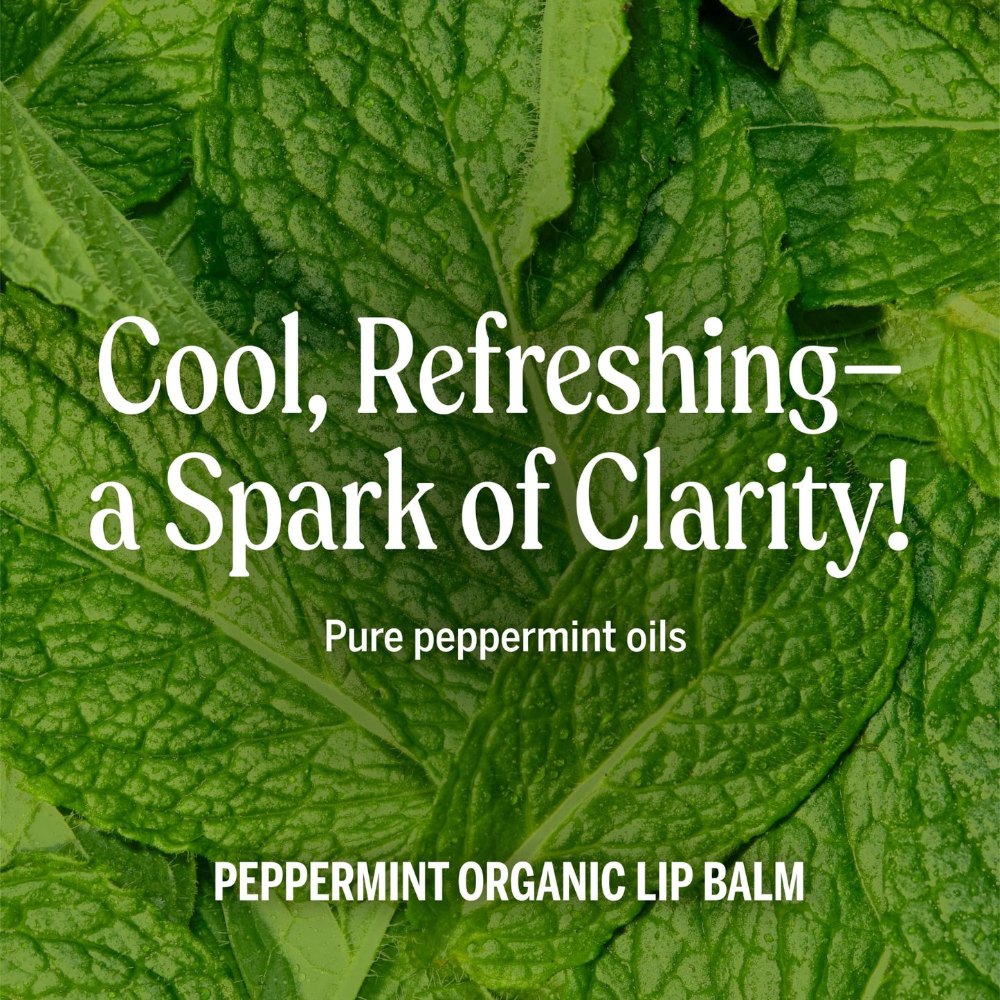 Dr. Bronner's - Organic Lip Balm (Peppermint, .15 ounce, 6-Pack) - Made with Organic Beeswax and Avocado Oil, For Dry Lips, Hands, Chin or Cheeks
