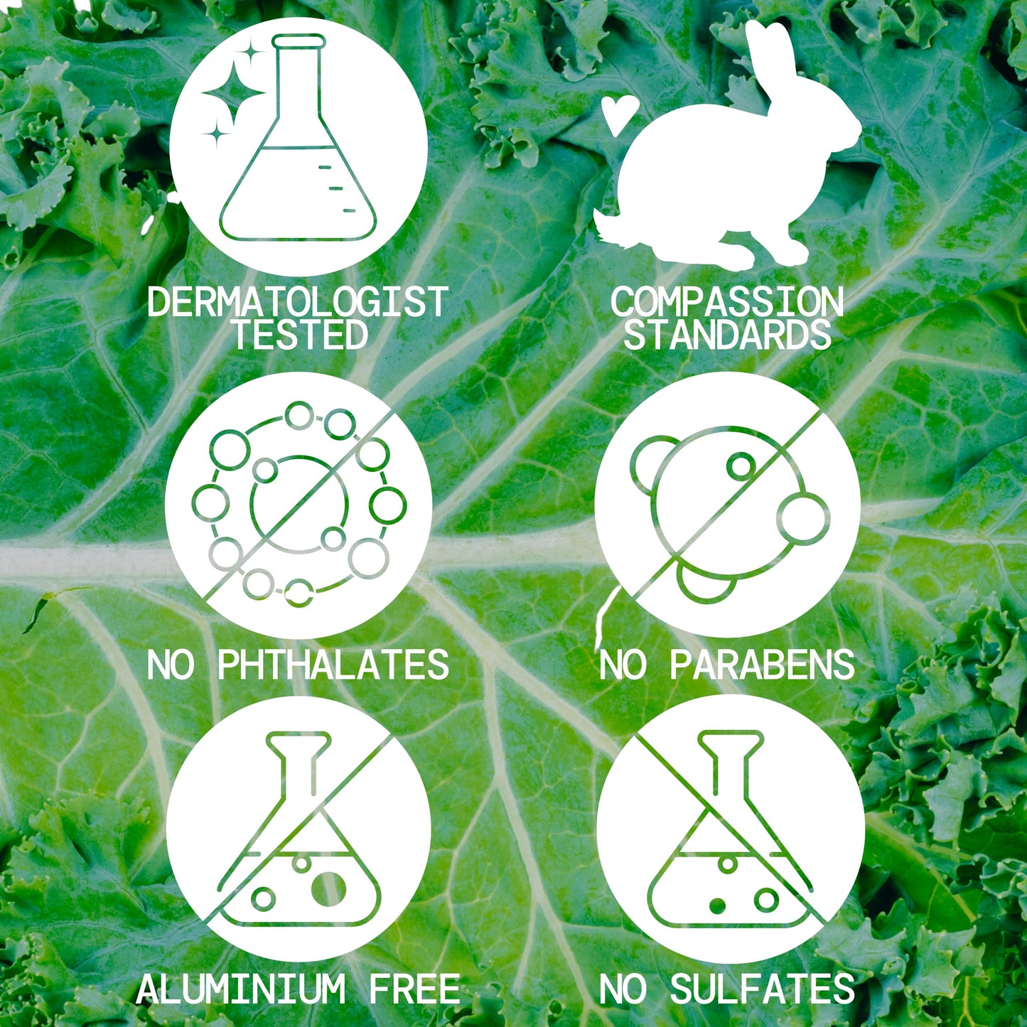 Pacifica Kale Smoothie Face Lotion, Refining Skincare, Face Moisturizer, Niacinamide, Vitamin C and E, Minimize Pores, Face Serum, For All Skin Types