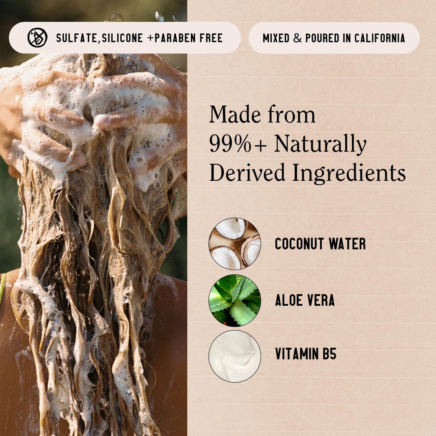 California Naturals Classic Clean Toasted Coconut Shampoo, Sulfate Free, Coconut Cleansing Complex, Natural, Vegan, Cruelty, Silicone, and Paraben Beauty and Personal Care California Naturals