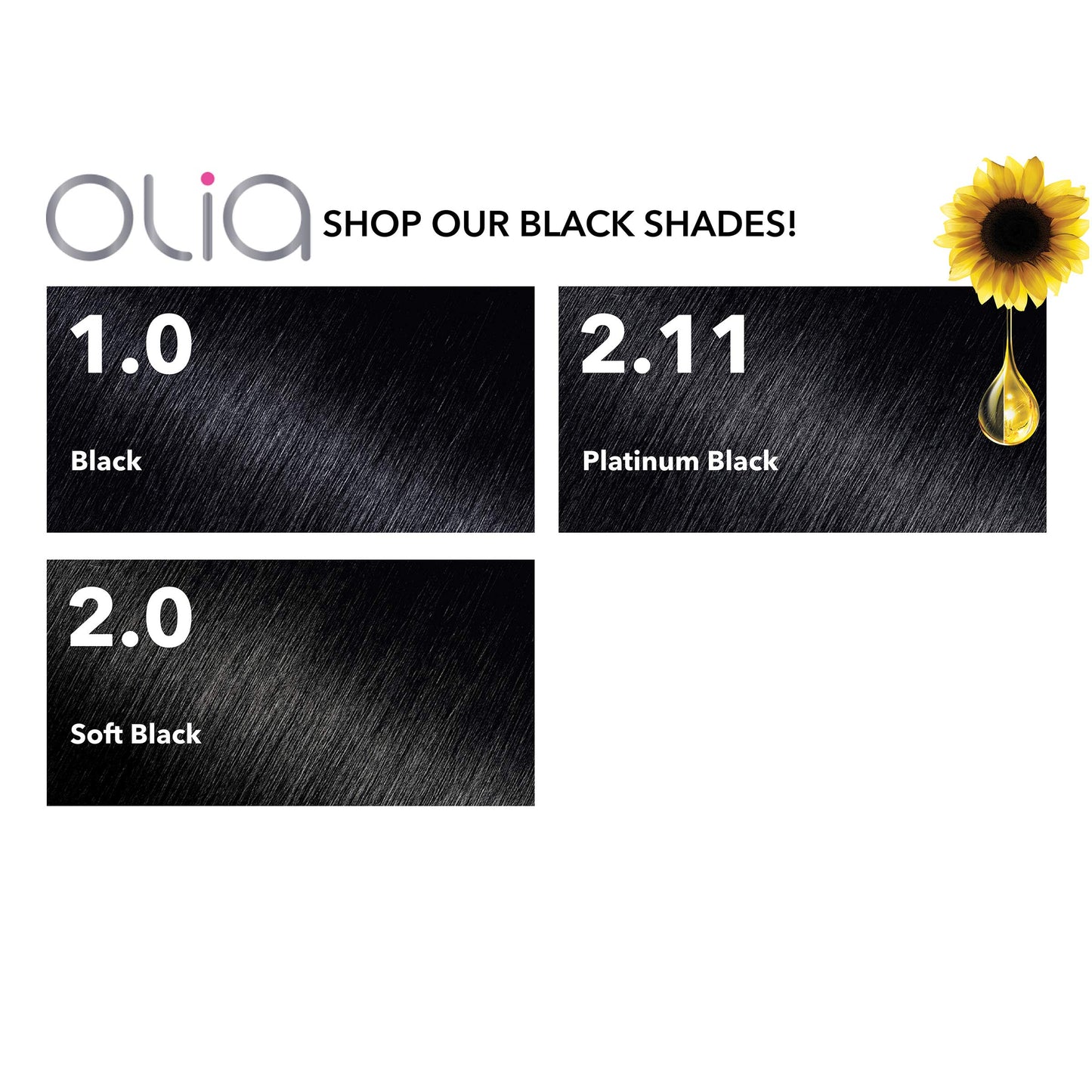 Garnier Olia Ammonia Free Hair Color 1.0 - Black