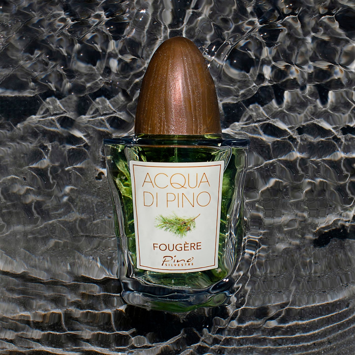 Acqua Di Pino Fougere By Pino Silvestre For Men - A Men's Eau De Toilette Cologne Perfume Spray With An Intense Fragrance For Every Guy - A Truly Male