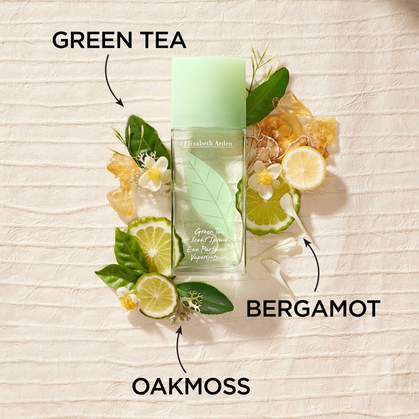 Elizabeth Arden Green Tea Women's Perfume Fragrance, Fresh & Floral Parfum with Notes of Bergamot, Tea and Oakmoss, Eau de Toilette, 1.7 Oz