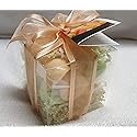 Spa Pure CUCUMBERMELON Bath Bombs: Gift Set with 14 1 oz, Ultra-moisturizing Bath Bombs, Great for Dry Skin, Makes a Great Gift