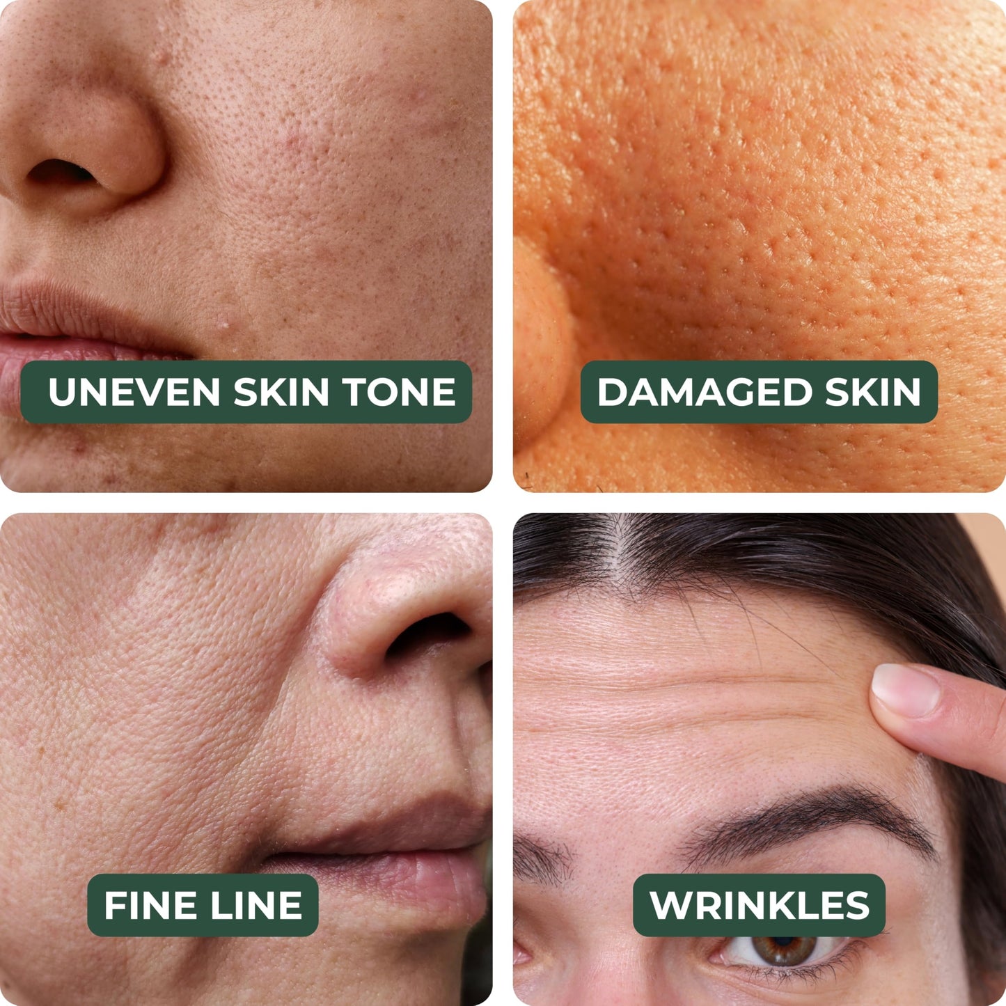 Katz Beauty Hydrating Serum with Hyaluronic Acid & Resveratrol - Plumping Face Serum for Dry, Sensitive Skin, Moisturizing Glow for Women & Men, 1 fl