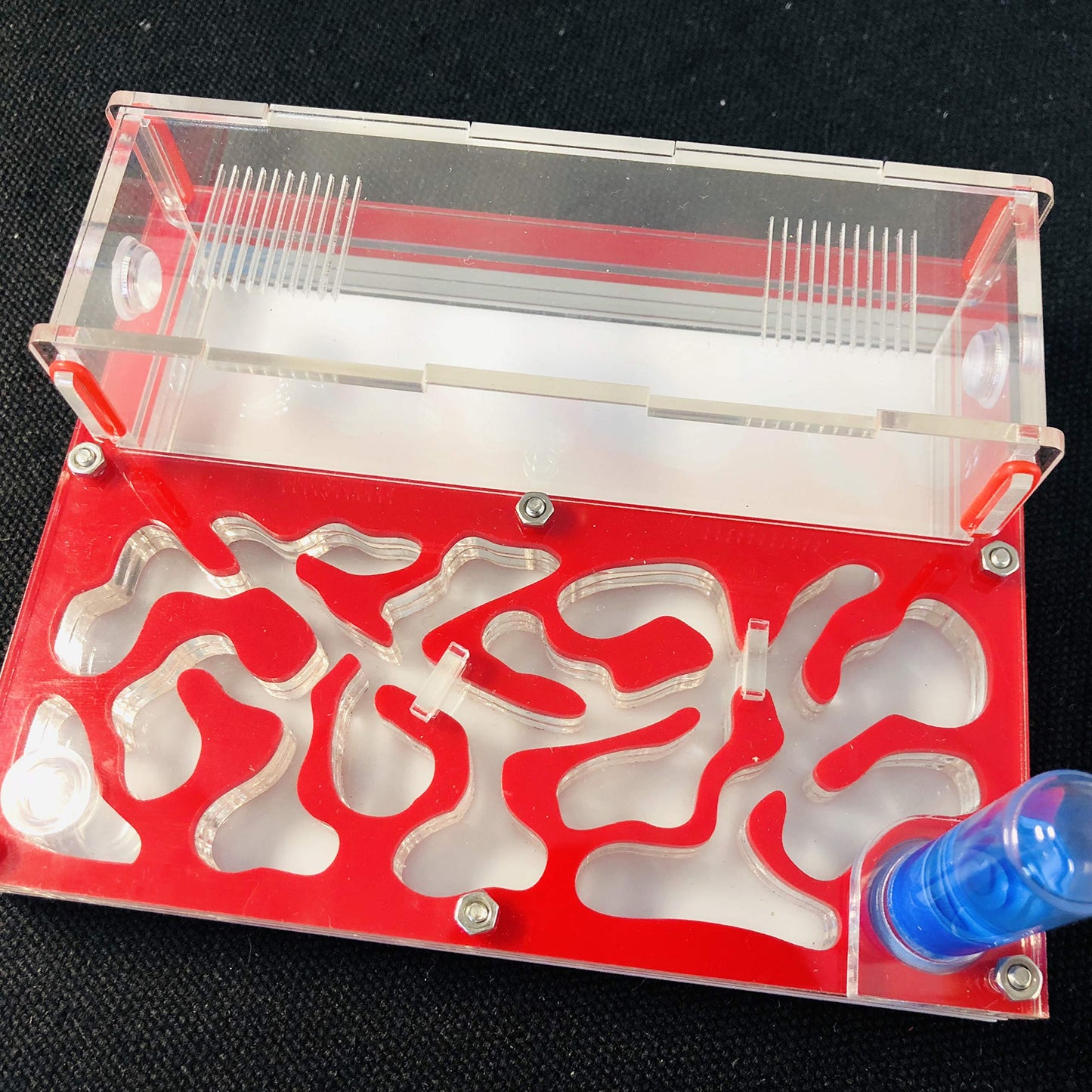 ANT 150mmx110mm Test Tube Moisture Big Space Nest Farm Acrylic, Insect Villa House Ecological Workshop (red)