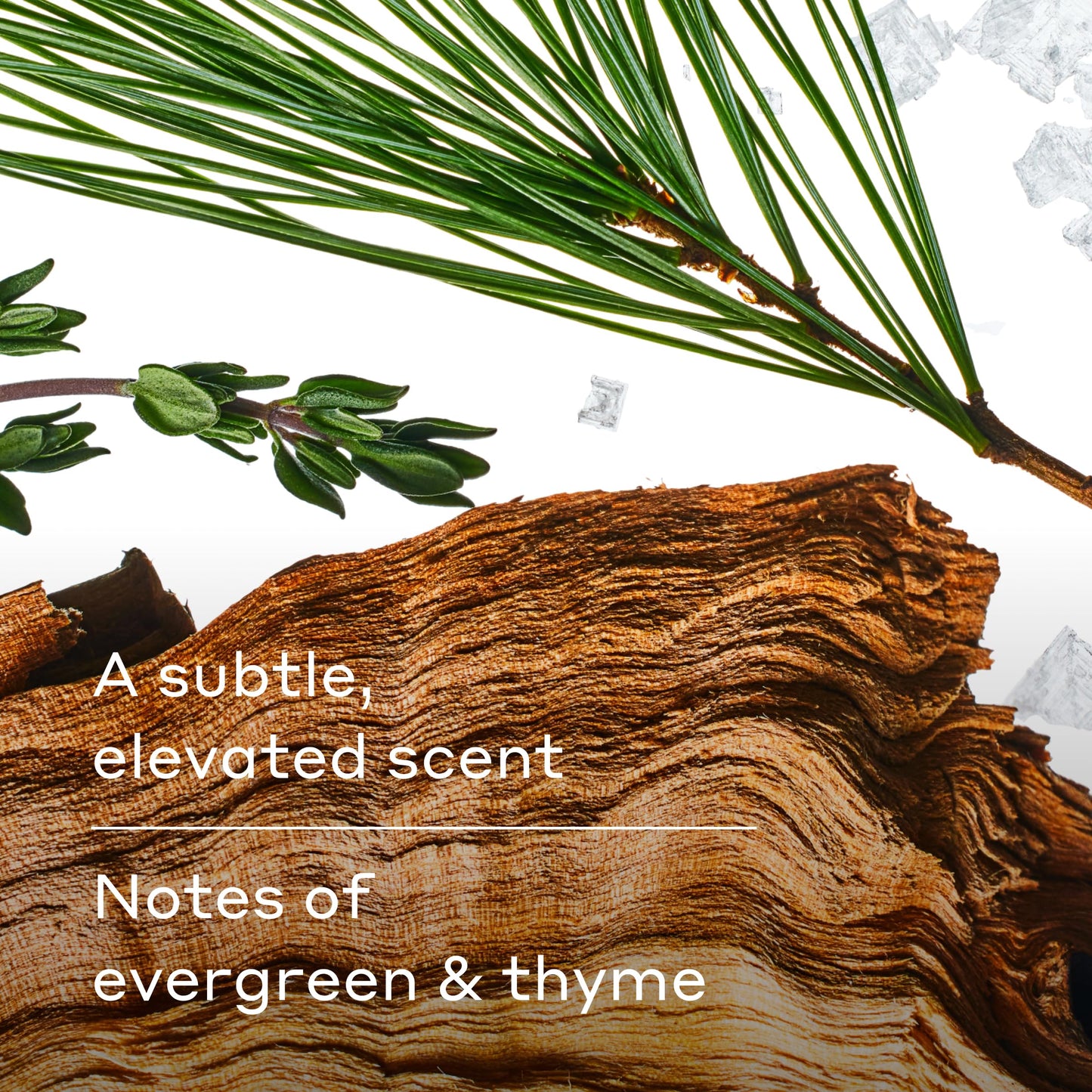 Harry's Extra-Strength Antiperspirant Deodorant, Sweat & Odor Control Antiperspirant for Men, Variety Pack - Stone, Redwood, Wildlands