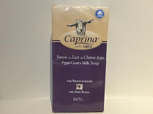 Caprina by Canus Goat Milk Soap Bar, SHEA BUTTER, 3.2 oz (90 g) Bars, 6-Pack, Moisturizing Daily Cleanser for Face, Hands & Body, Fresh Canadian Goat