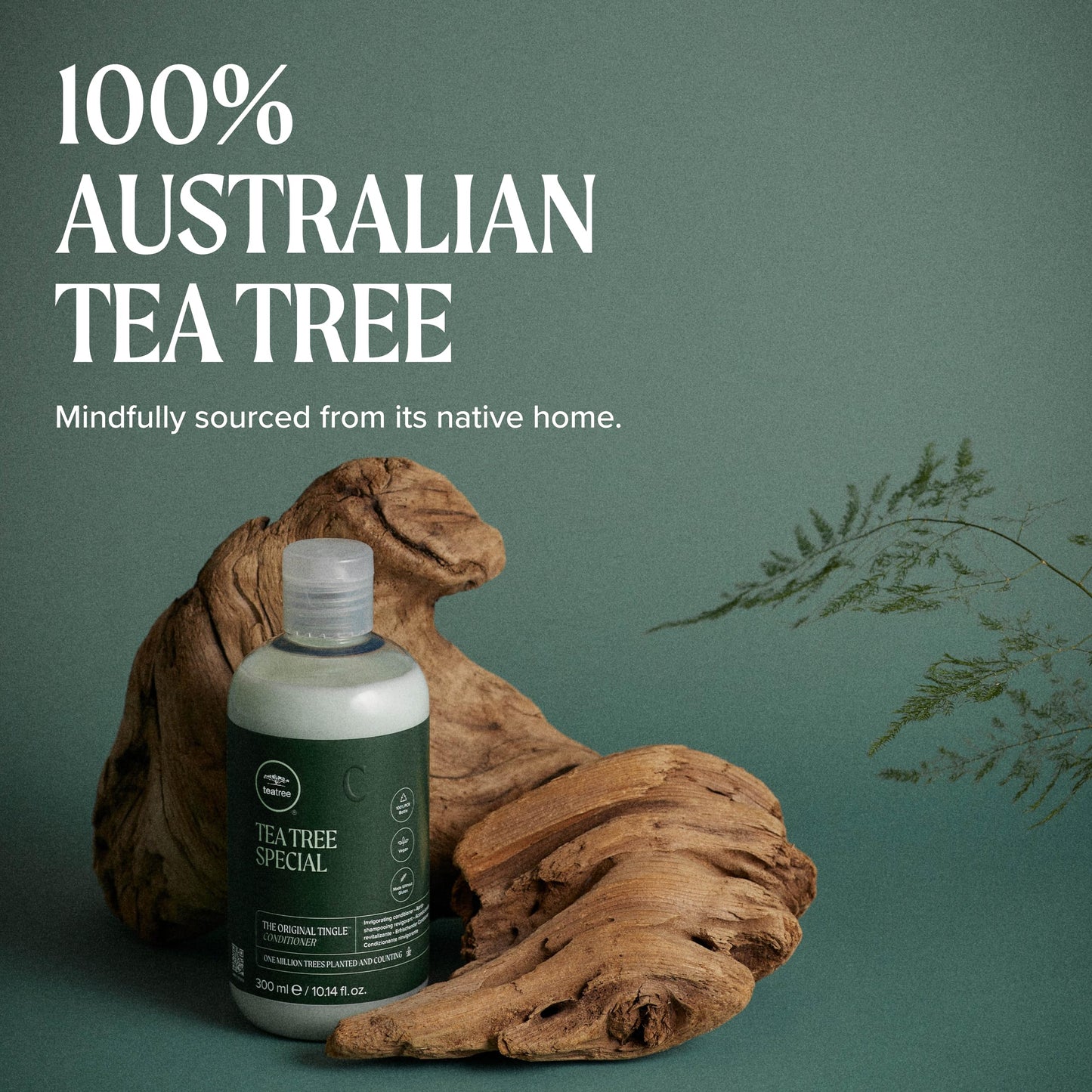Tea Tree Special Conditioner, Detangles, Smooths + Softens, For All Hair Types, 33.8 fl. oz. Beauty and Personal Care Tea Tree