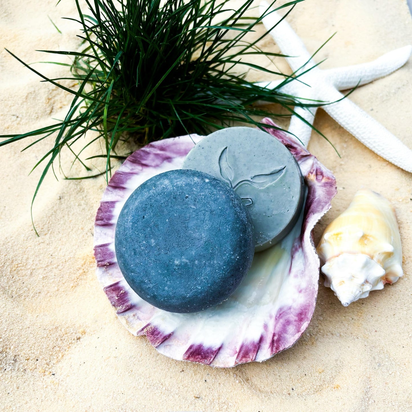 Lucky Locks | Pick Your Scent | Natural Shampoo & Conditioner Bar Set | Zero Waste Hair Care | Sulfate Free (Mystic Lagoon)