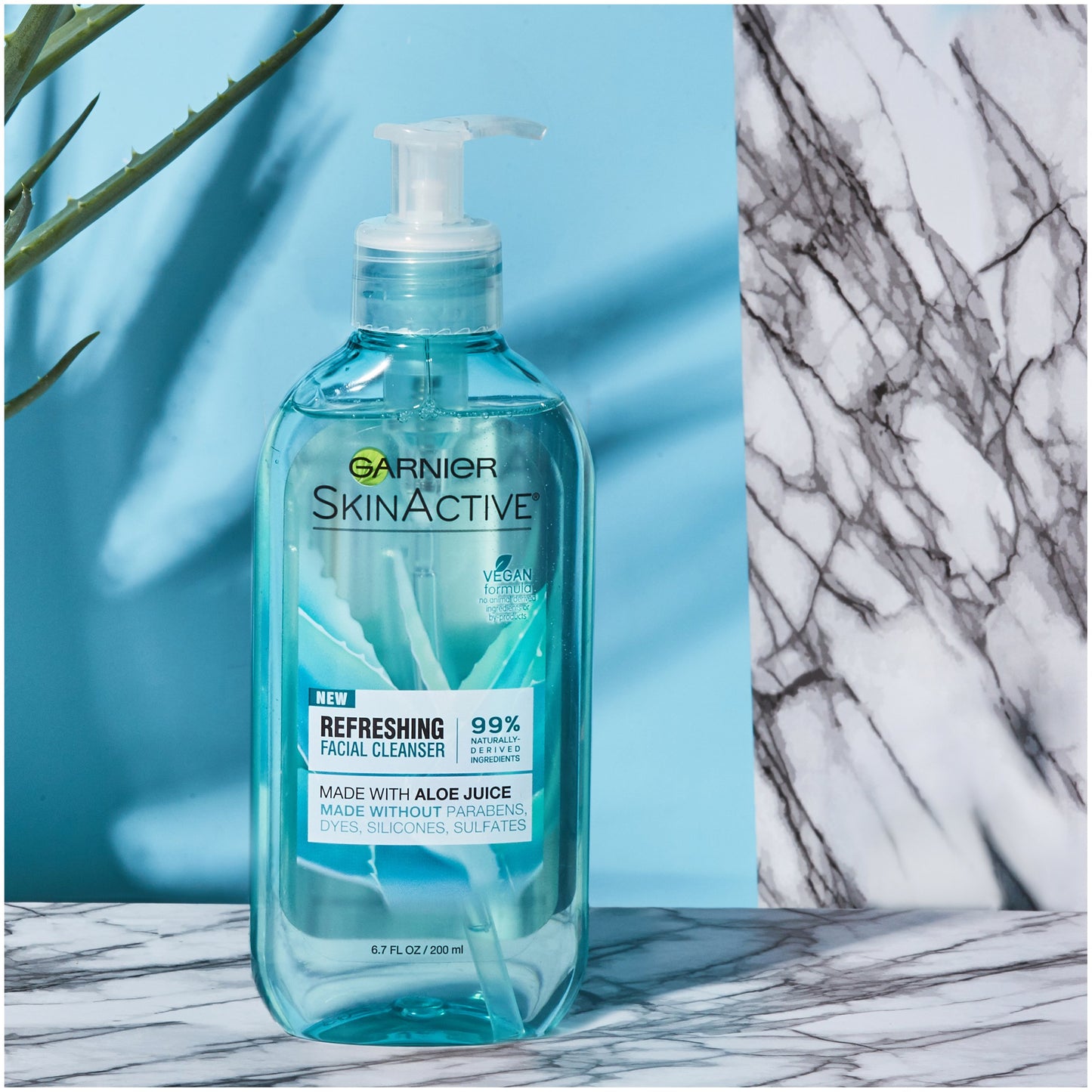 Garnier SkinActive Face Wash with Aloe Juice, For Dry Skin, 6.7 fl. oz.