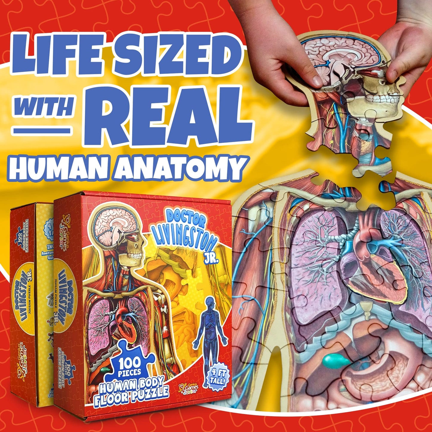 Human Anatomy Kids Floor Puzzle – 100-Piece Full Body Jigsaw, 4-Foot Medically Accurate Educational Toy for Kids Ages 4–10