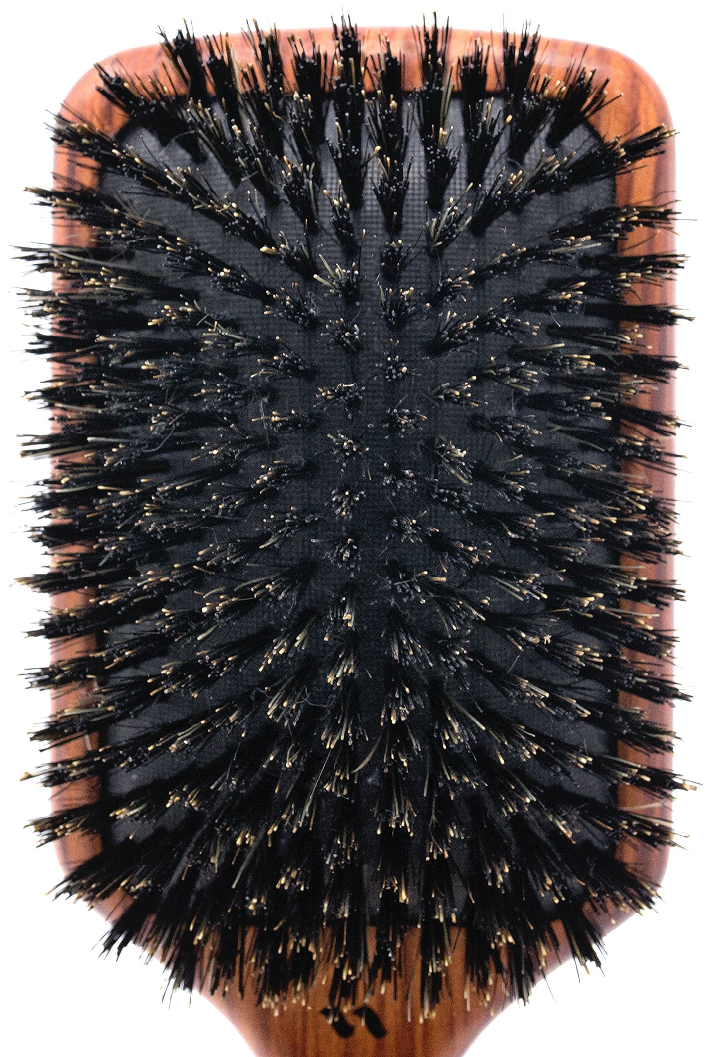 Spornette Deville Cushion Paddle Brush, Boar Bristle Hair Brush with Wooden Handle - For Straightening, Smoothing, Detangling, Styling & Brush Outs