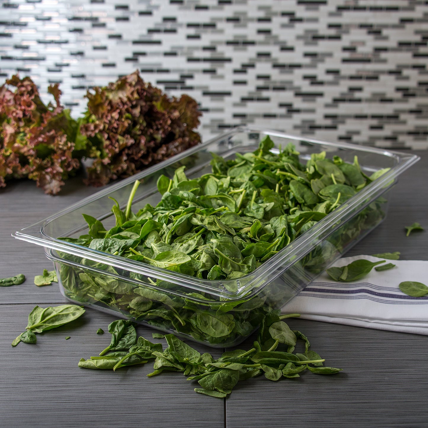 Carlisle FoodService Products Storplus Full-Size Plastic Food Pan for Catering, Buffets, and Restaurants, Polycarbonate, Full Size 4 Inches Deep…