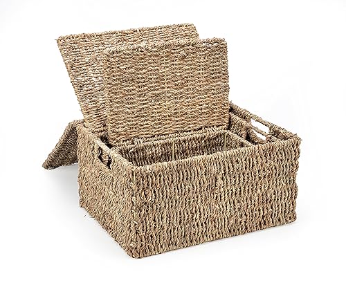 Trademark Innovations Set of 3 Rectangular Seagrass Baskets with Lids, Natural (Small)