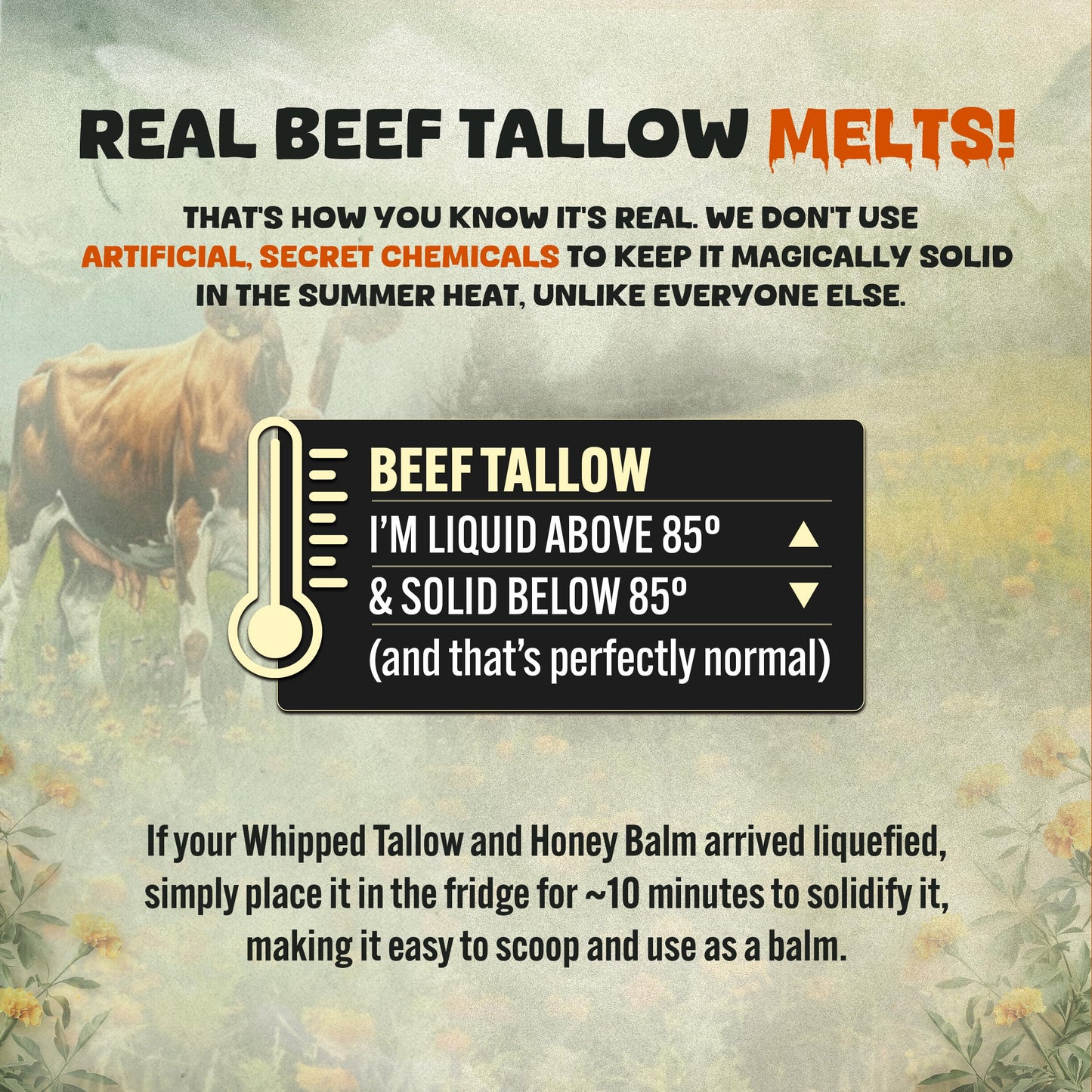 Whipped Beef Tallow and Honey Moisturizer for Skin, Face, Lips, Body - Lavender Scent Beauty and Personal Care TALLOW BODY BALM