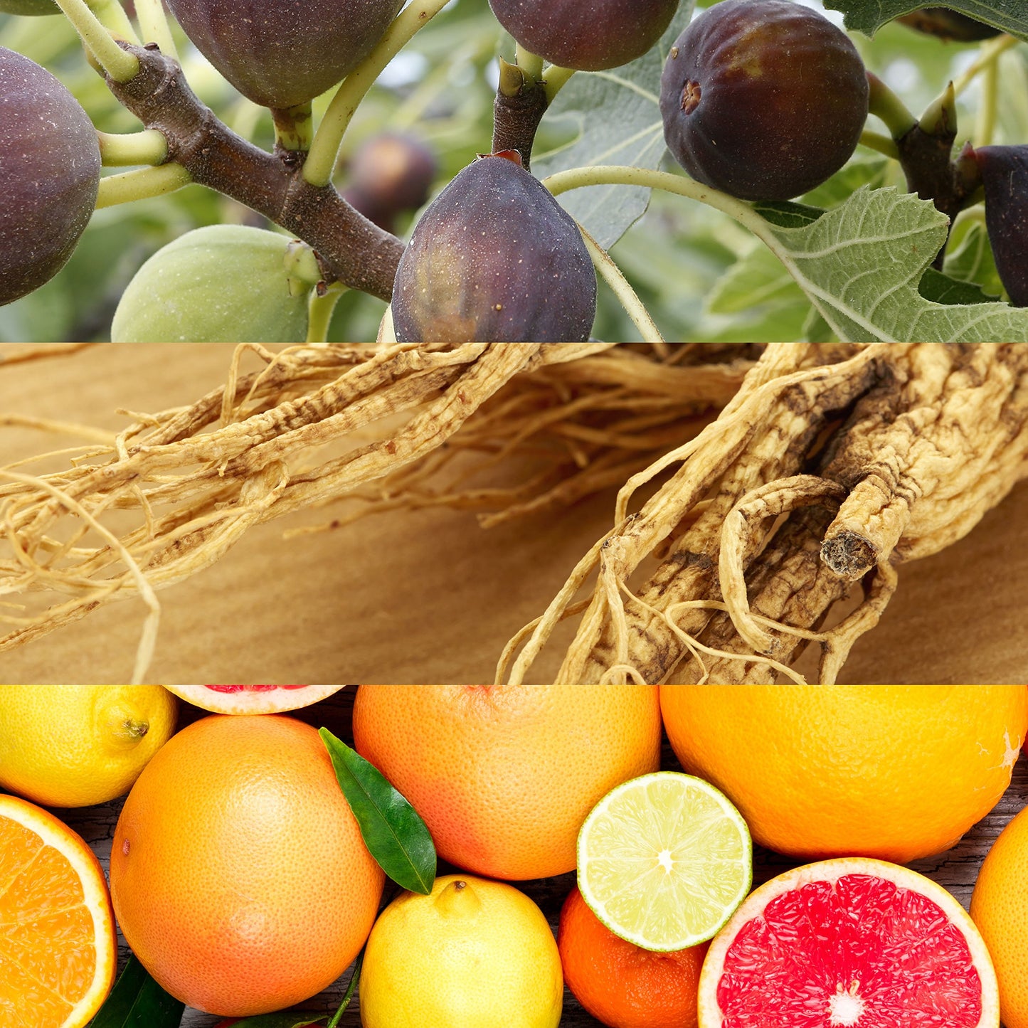 Jovan Ginseng N.R.G. Eau de Cologne Spray 1 fl oz (Pack of 1), Notes of Bergamot, Floral, and Musk, Women's Fragrance, Long Lasting, Everyday Fragrance, Travel Size