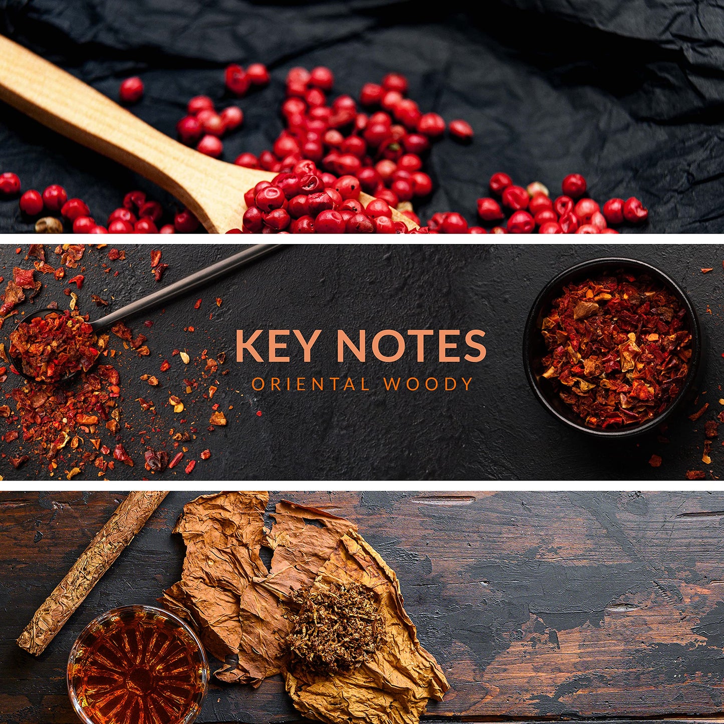 Reyane Tradition Insurrection (Dark II)